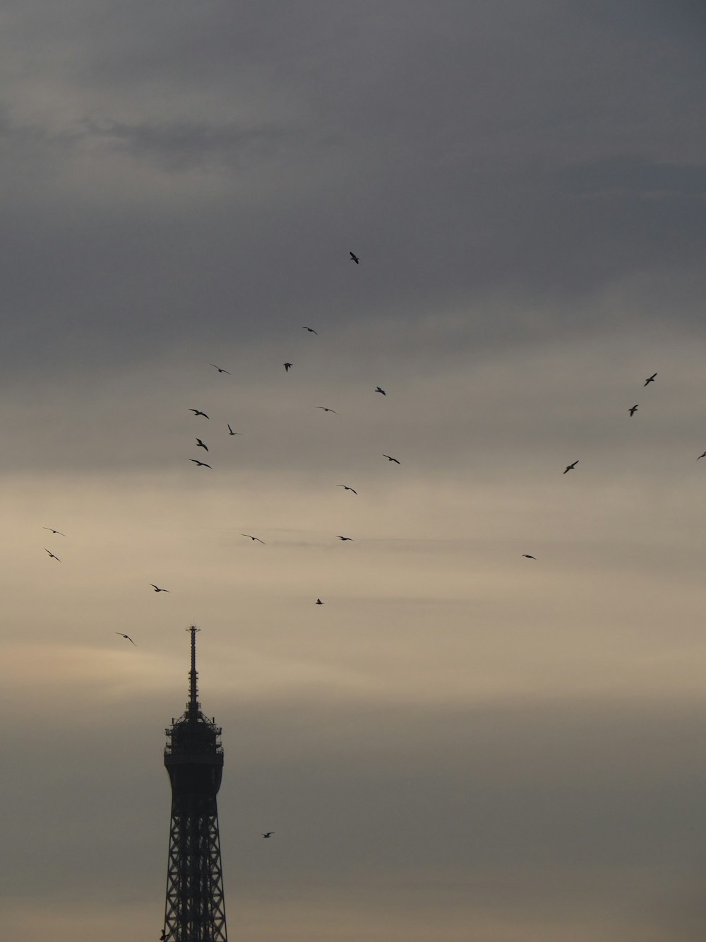 a flock of birds flying over the eiffel tower