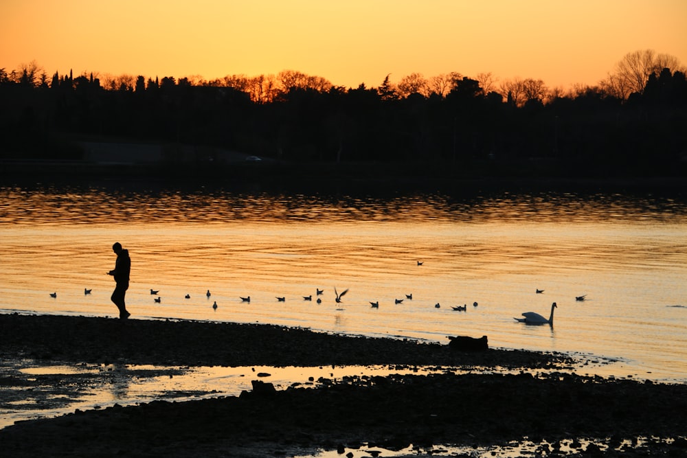 silhouette of people on beach during sunset