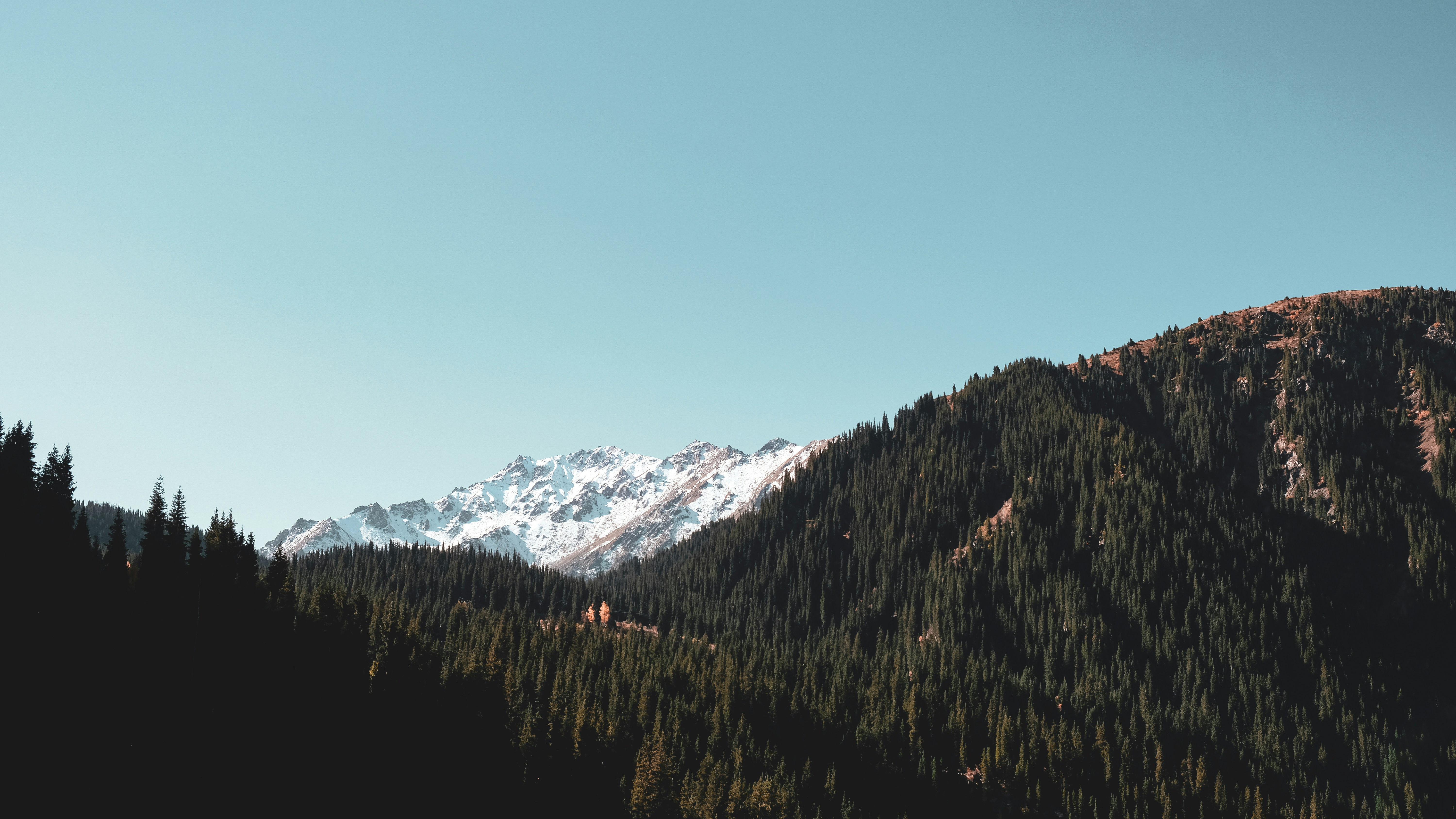 Photo by sumskoydmitry