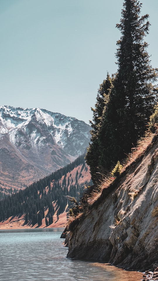 green pine trees on brown rocky mountain during daytime in Almaty Region Kazakhstan