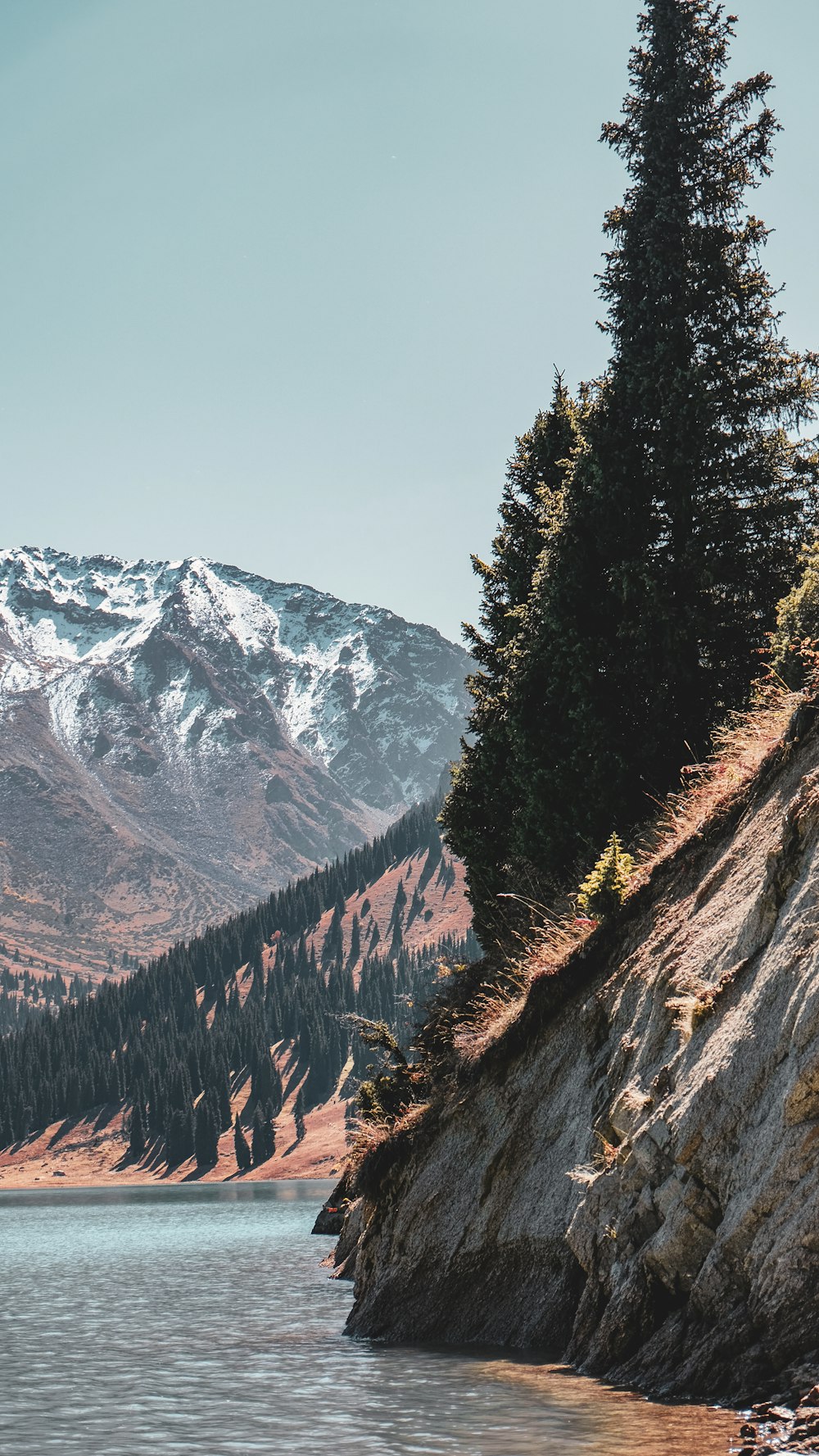 green pine trees on brown rocky mountain during daytime