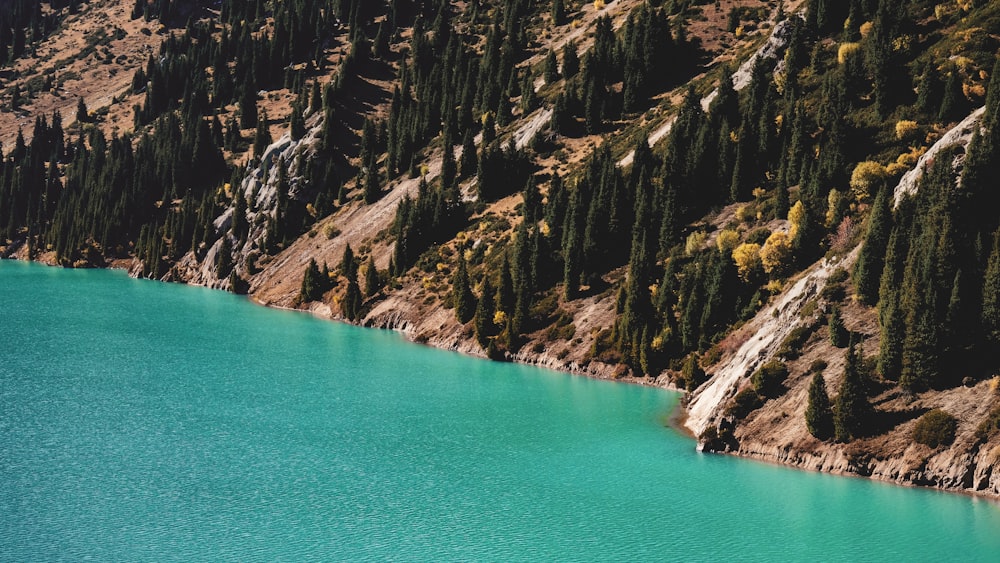 brown rocky mountain beside blue sea during daytime