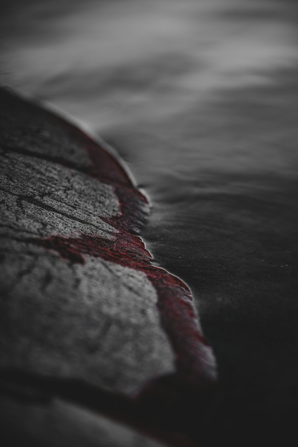 red and white textile on black surface