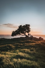 Transformation - paper art