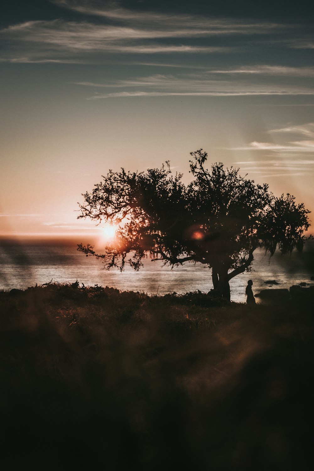 silhouette of person standing on grass field during sunset