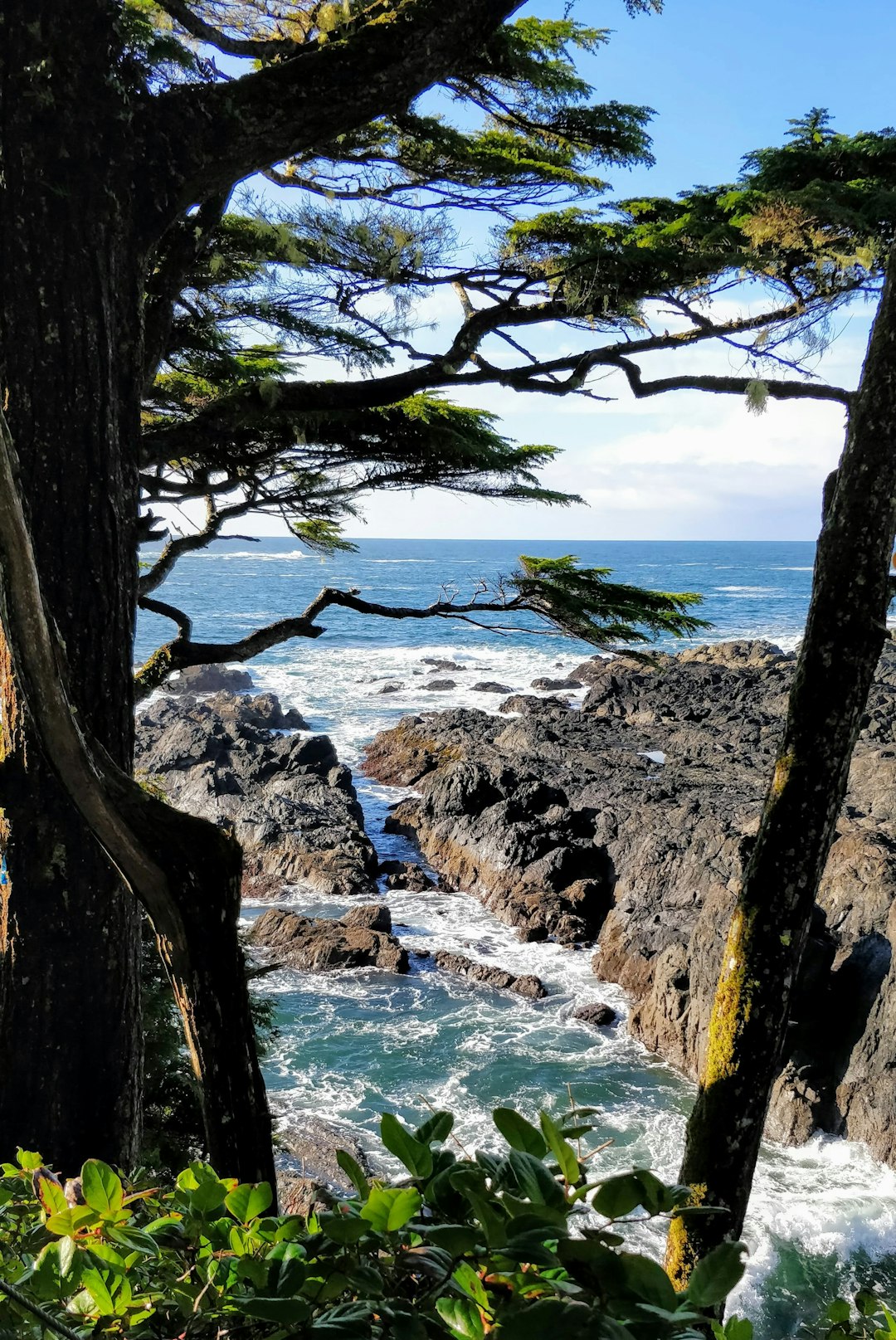Travel Tips and Stories of Ucluelet in Canada