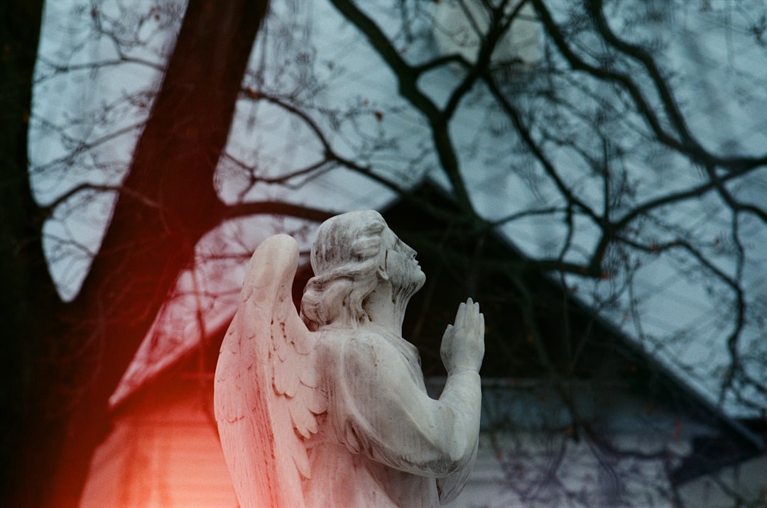 white angel statue near bare tree during daytime