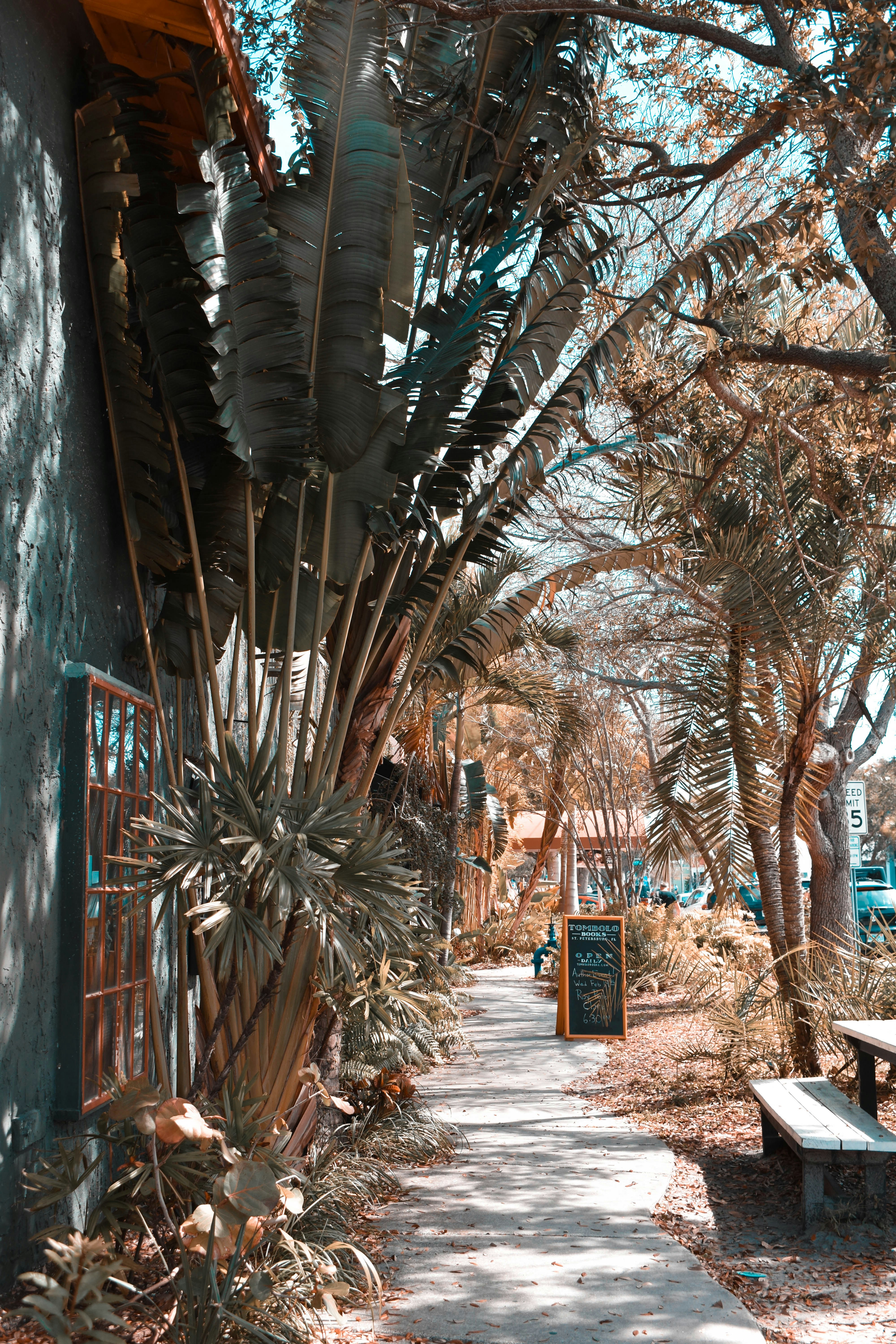 Photo by corrynewooten