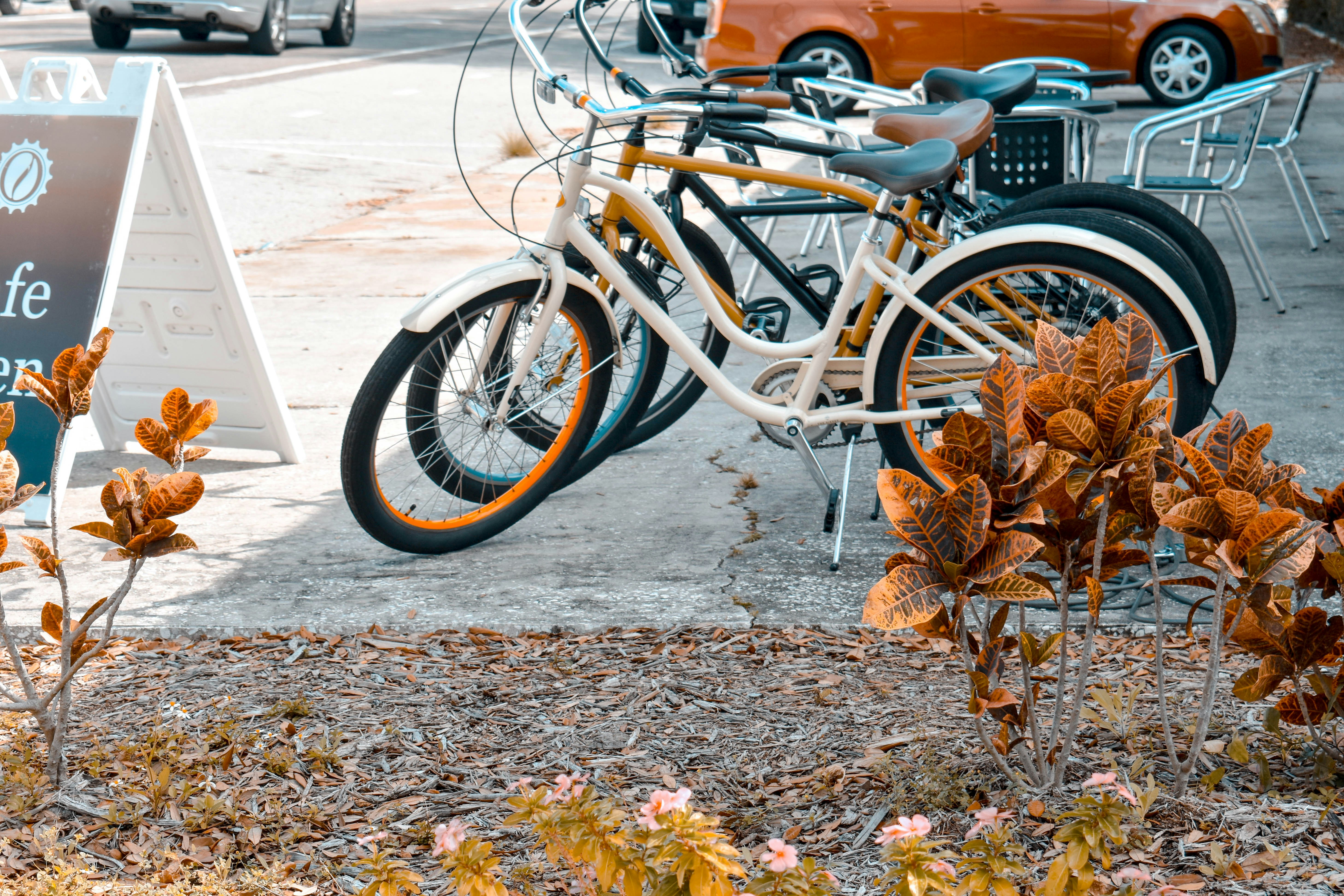 Photo by corrynewooten