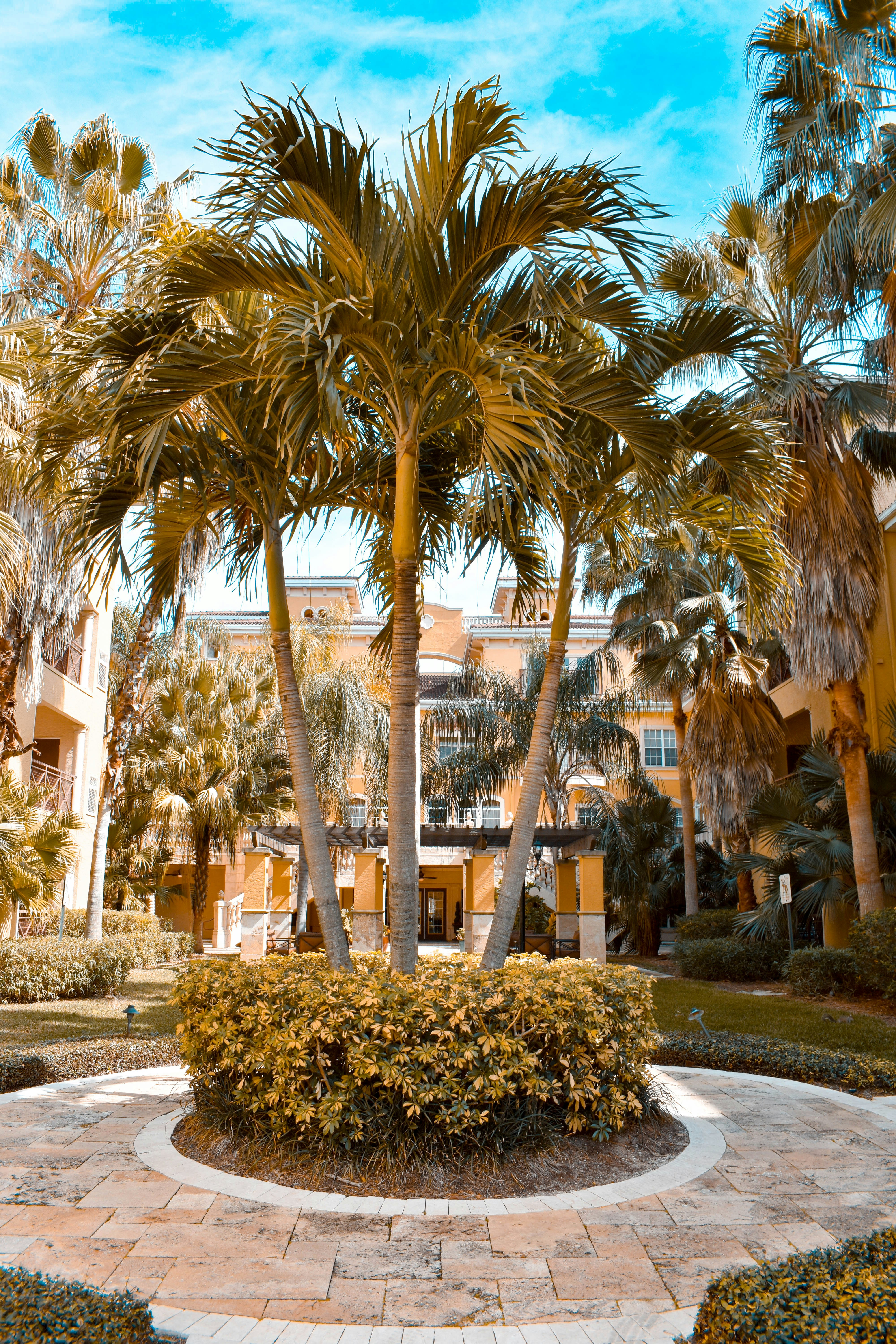 Photo by corrynewooten