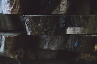 Several wooden logs are stacked atop each other, showcasing a dark, rich texture with prominent bark details. The setting appears dimly lit, creating soft shadows and highlights on the wood surface.