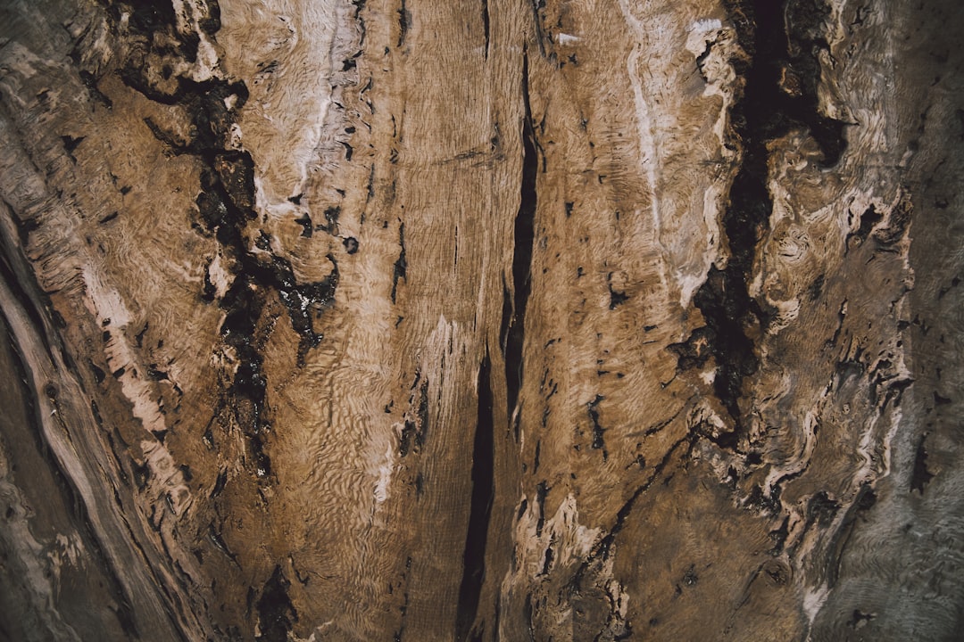 brown and black rock formation