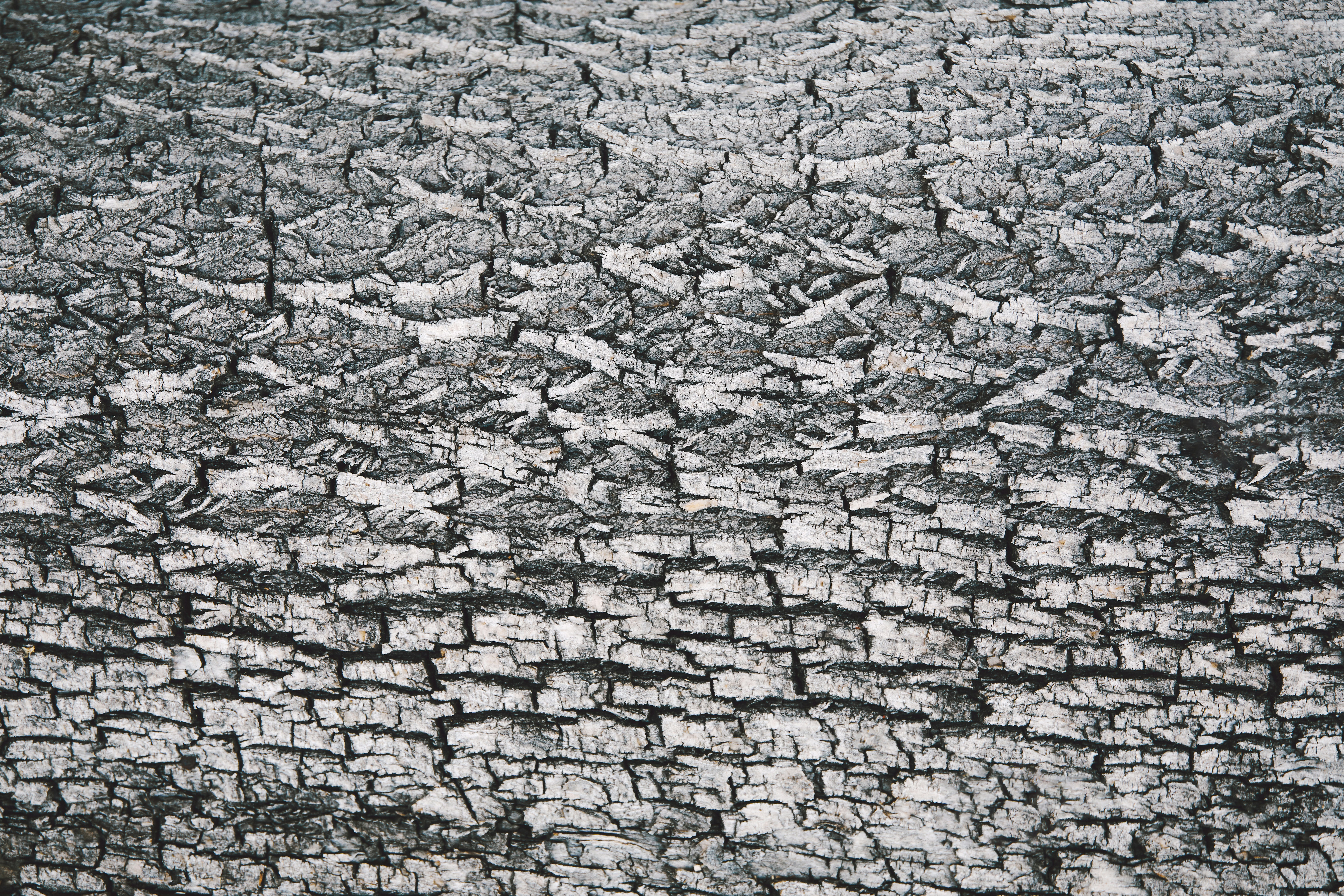 grey and black brick wall