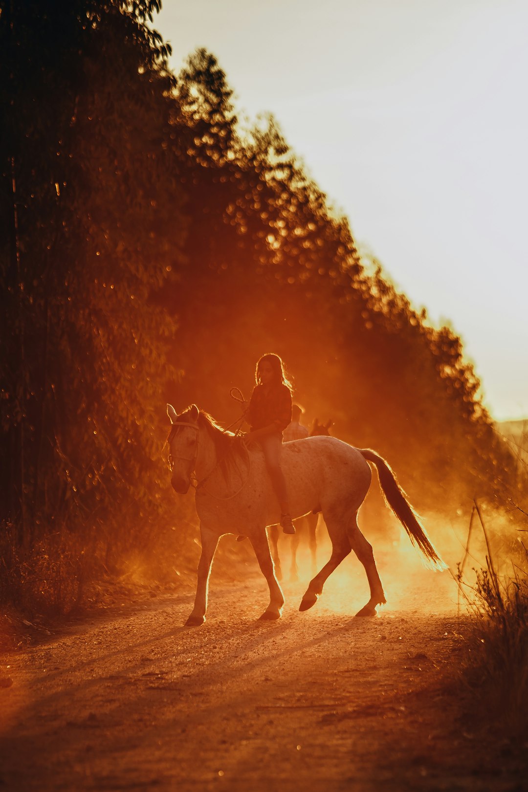 man riding horse on dirt road during sunset