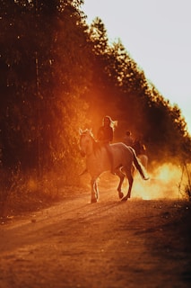 Horse riders crossing a sparkling river with mountains in the background during golden hour.