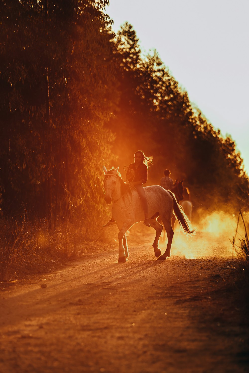 2 men riding horse on dirt road during daytime