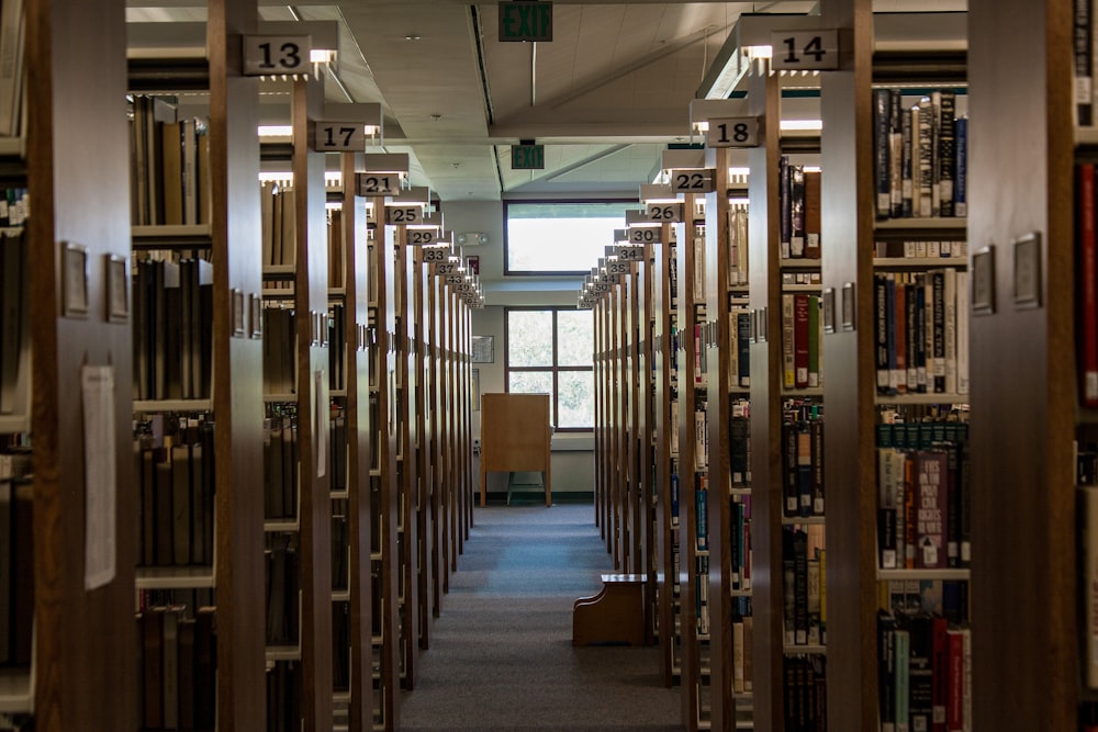scaffali di legno marrone in una biblioteca