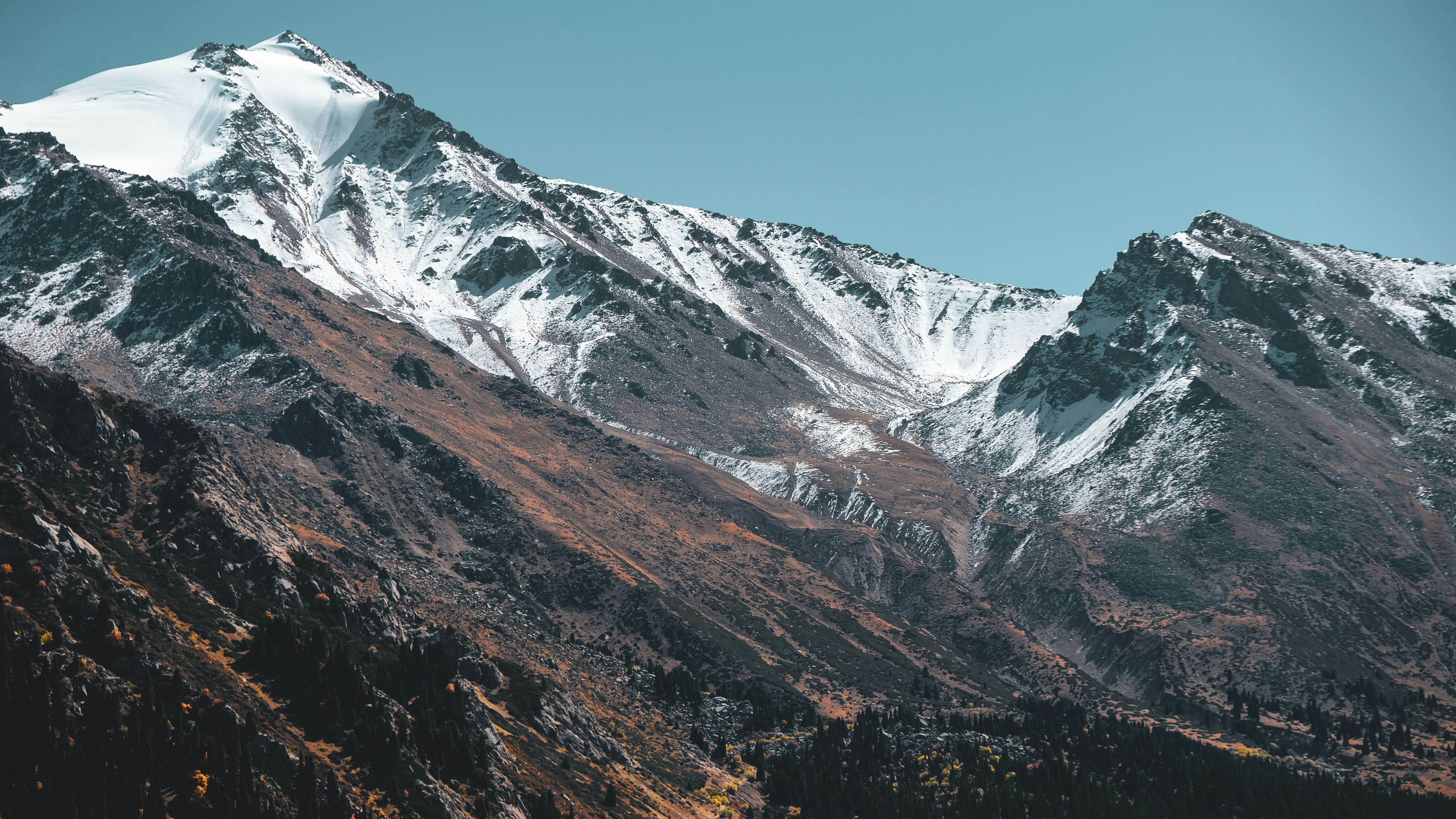 Photo by sumskoydmitry