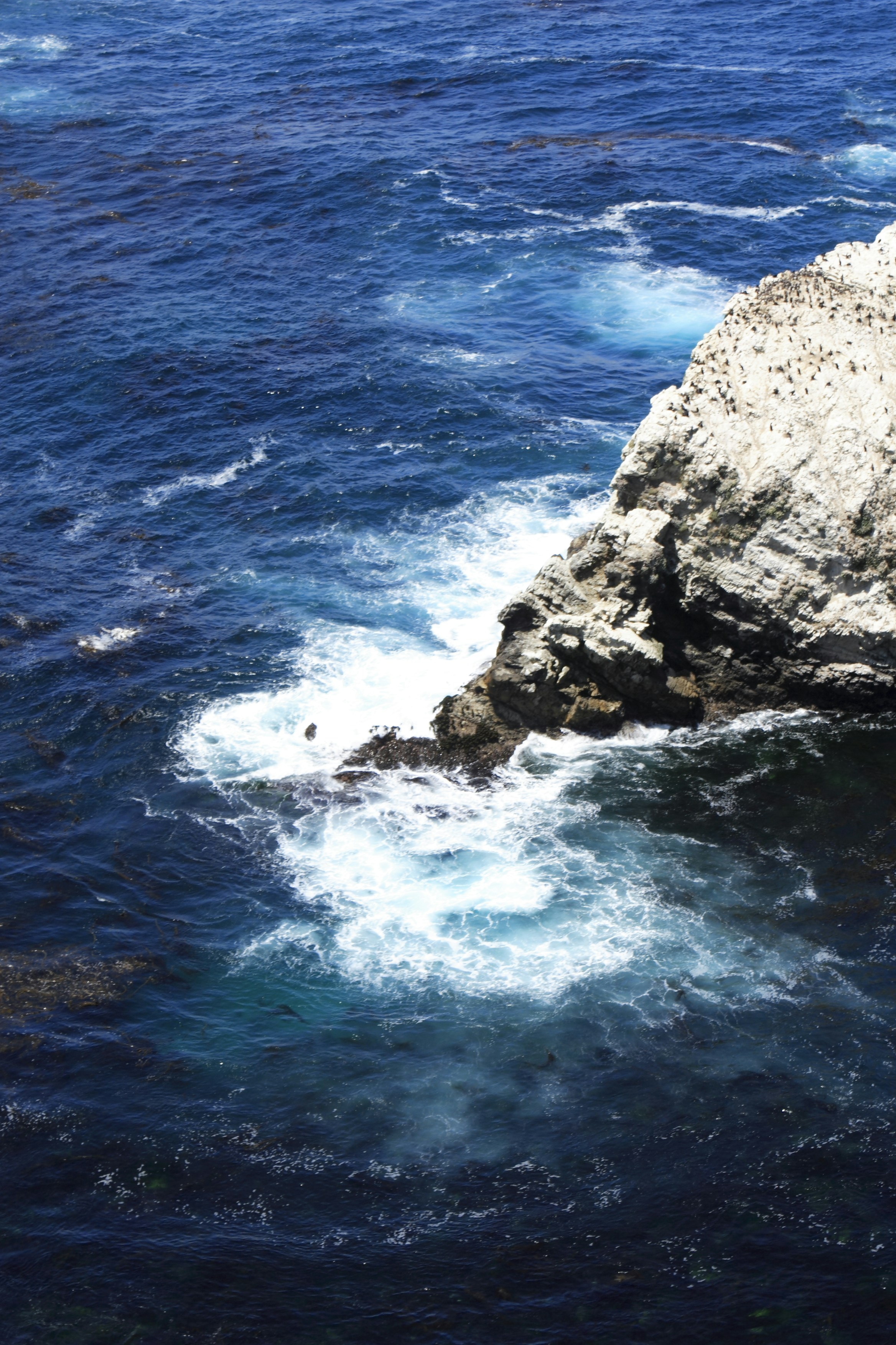 Photo by mpphotomedia