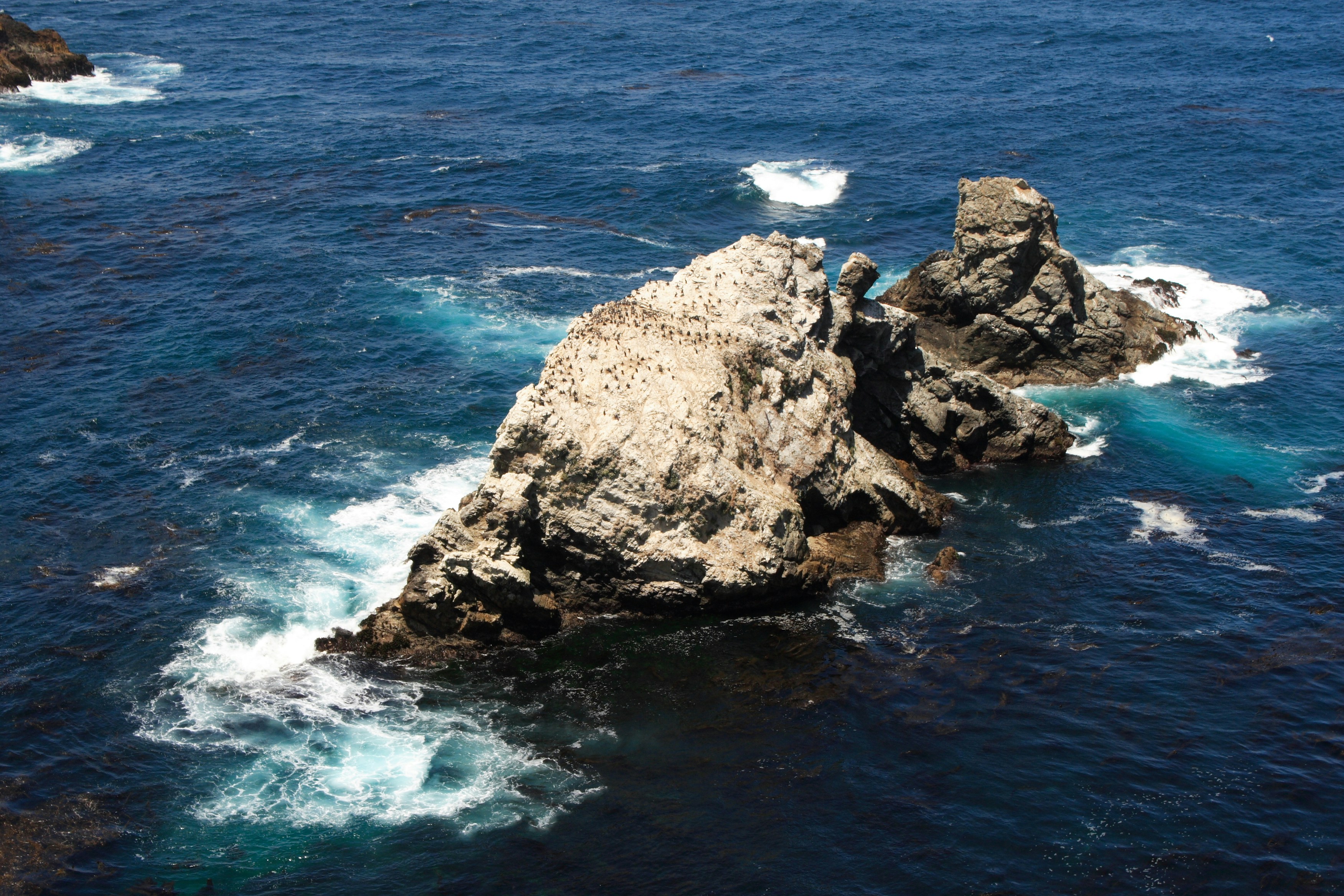 Photo by mpphotomedia