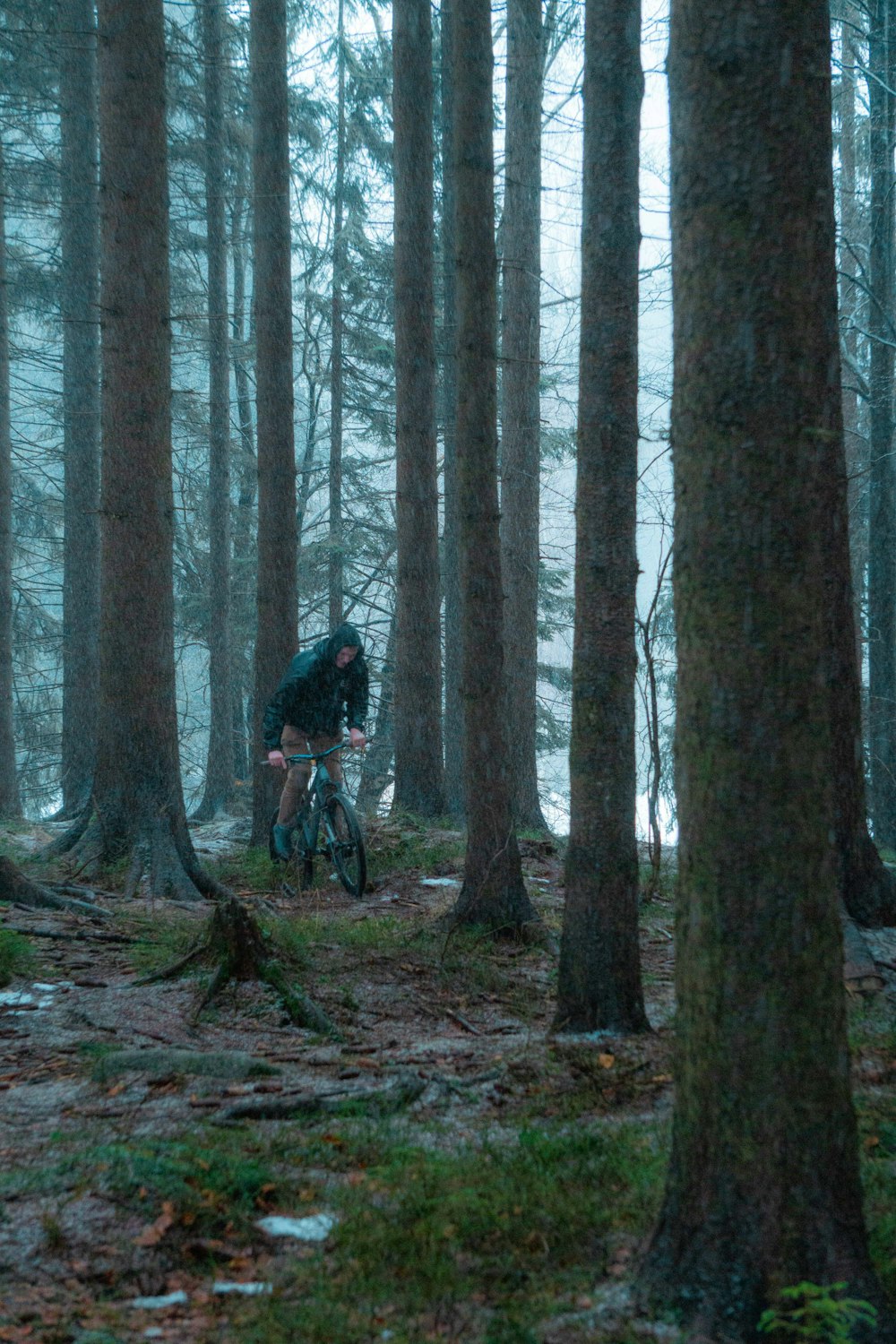 man in black jacket riding bicycle in the woods