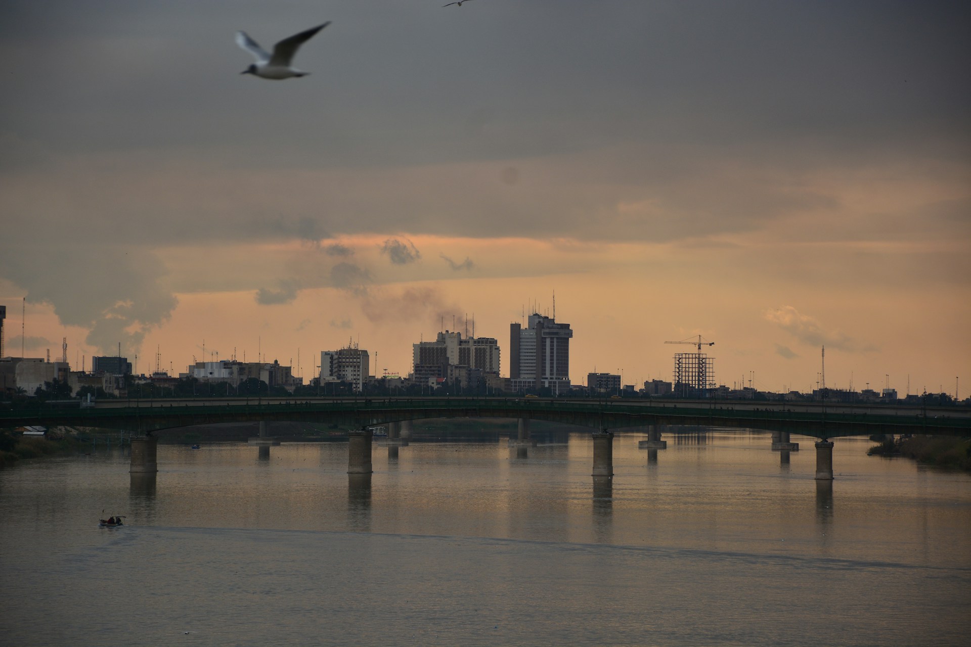 a bird flying over a body of water