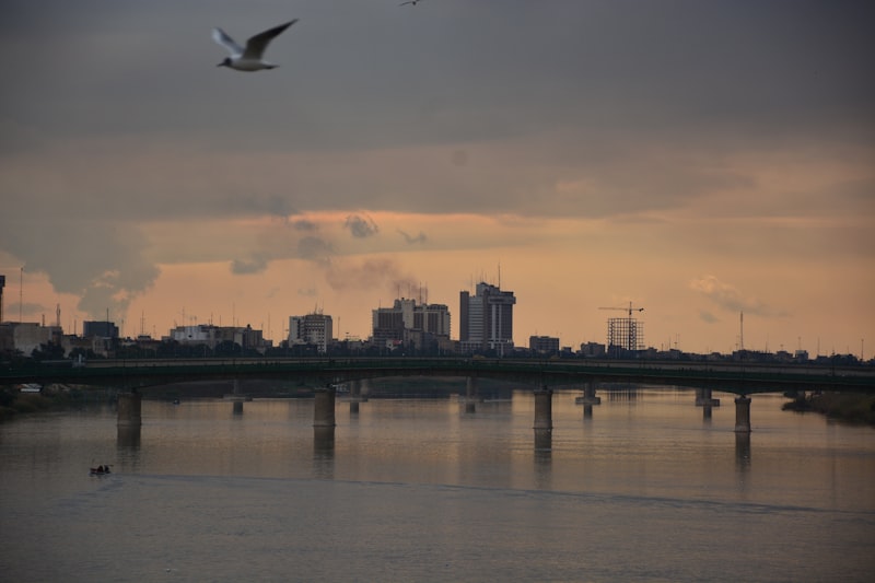 a bird flying over a body of water