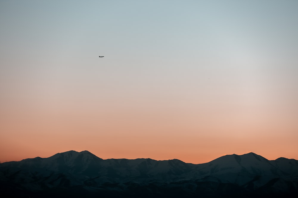 black bird flying over the mountains during daytime