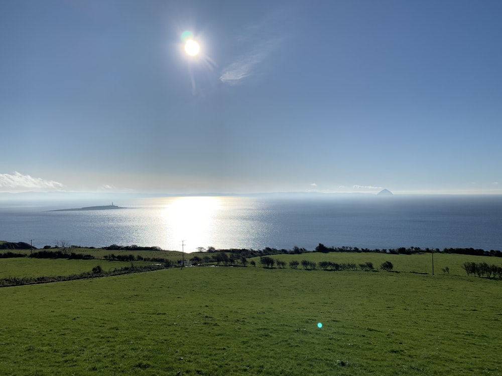 green grass field near body of water during daytime