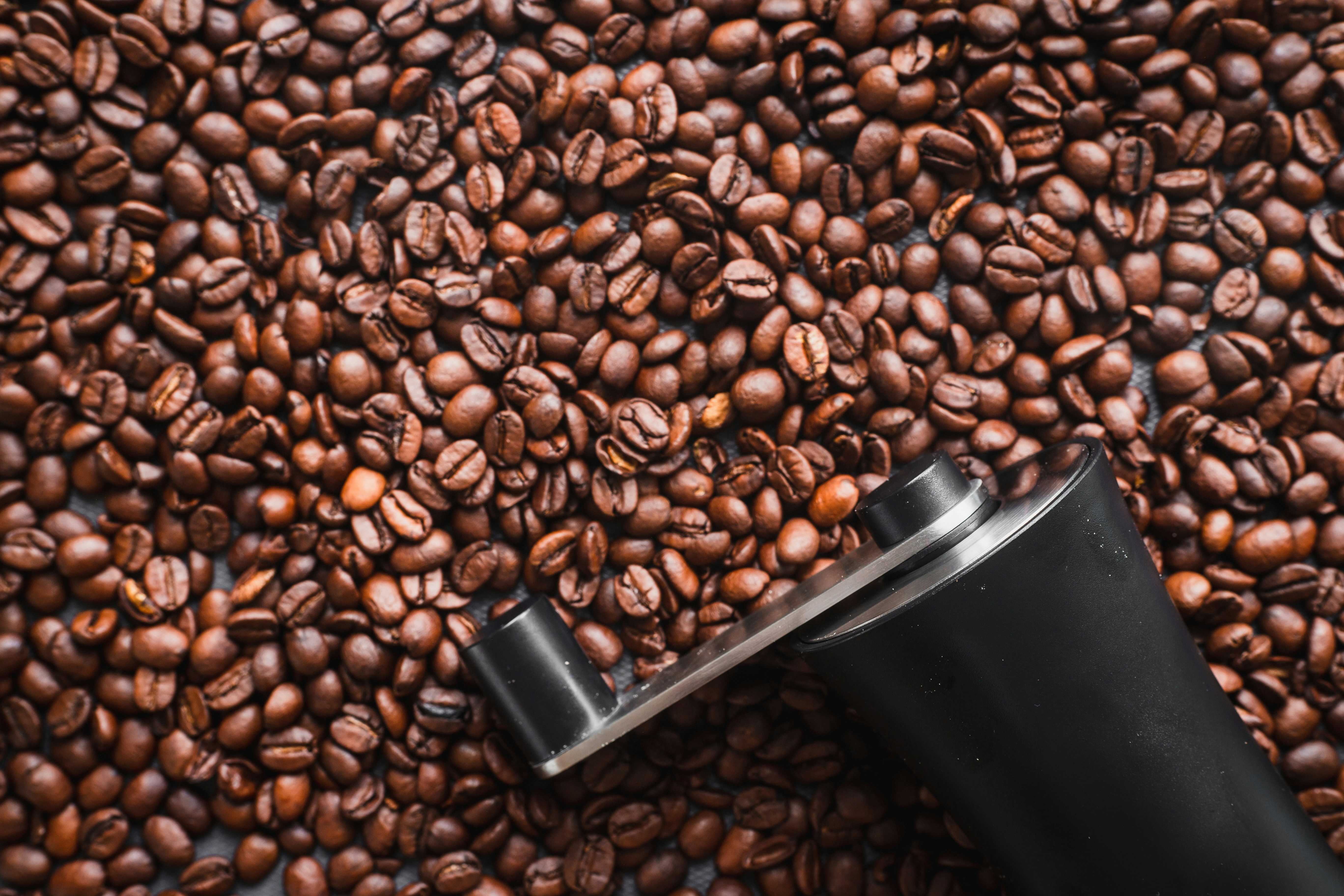 The 5 Best Coffee Tamper