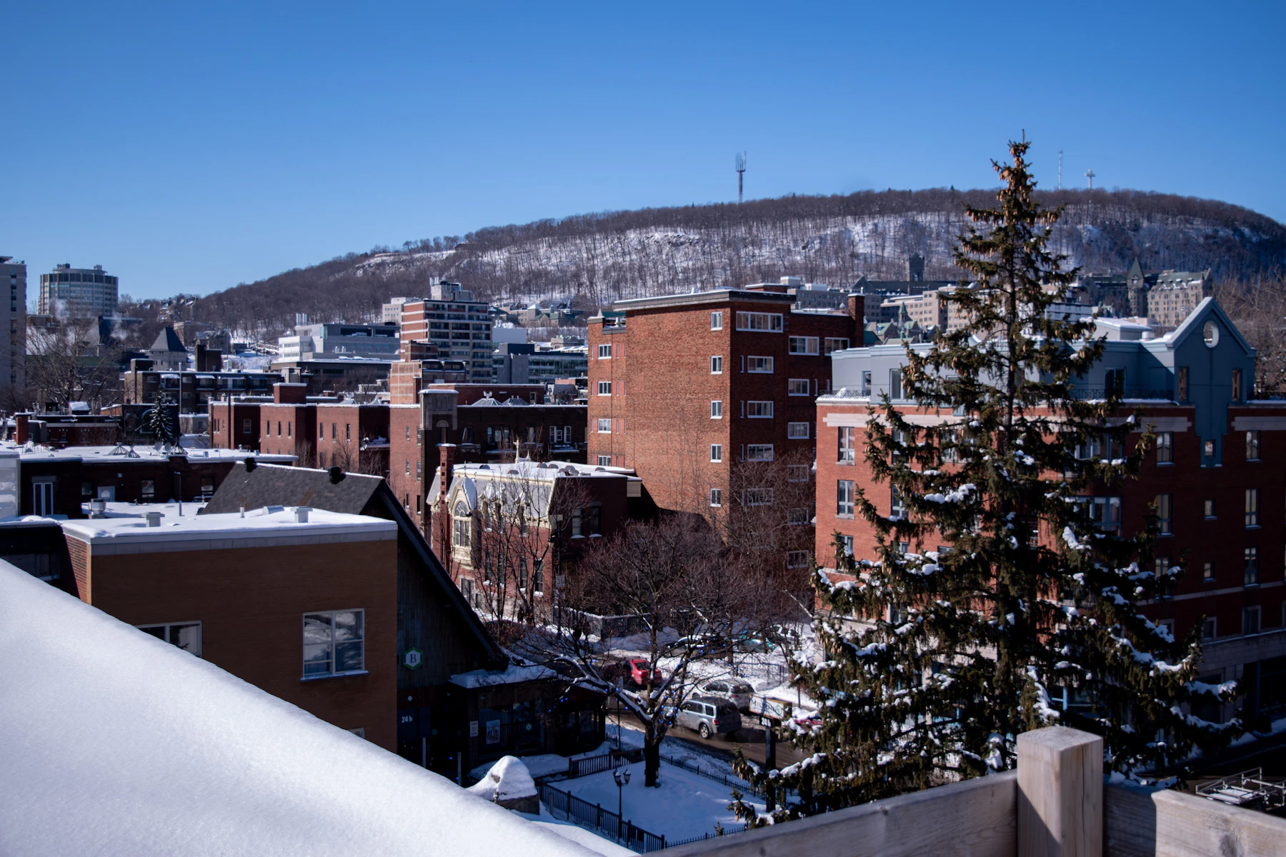 A Montréal building stands beside mature green trees.