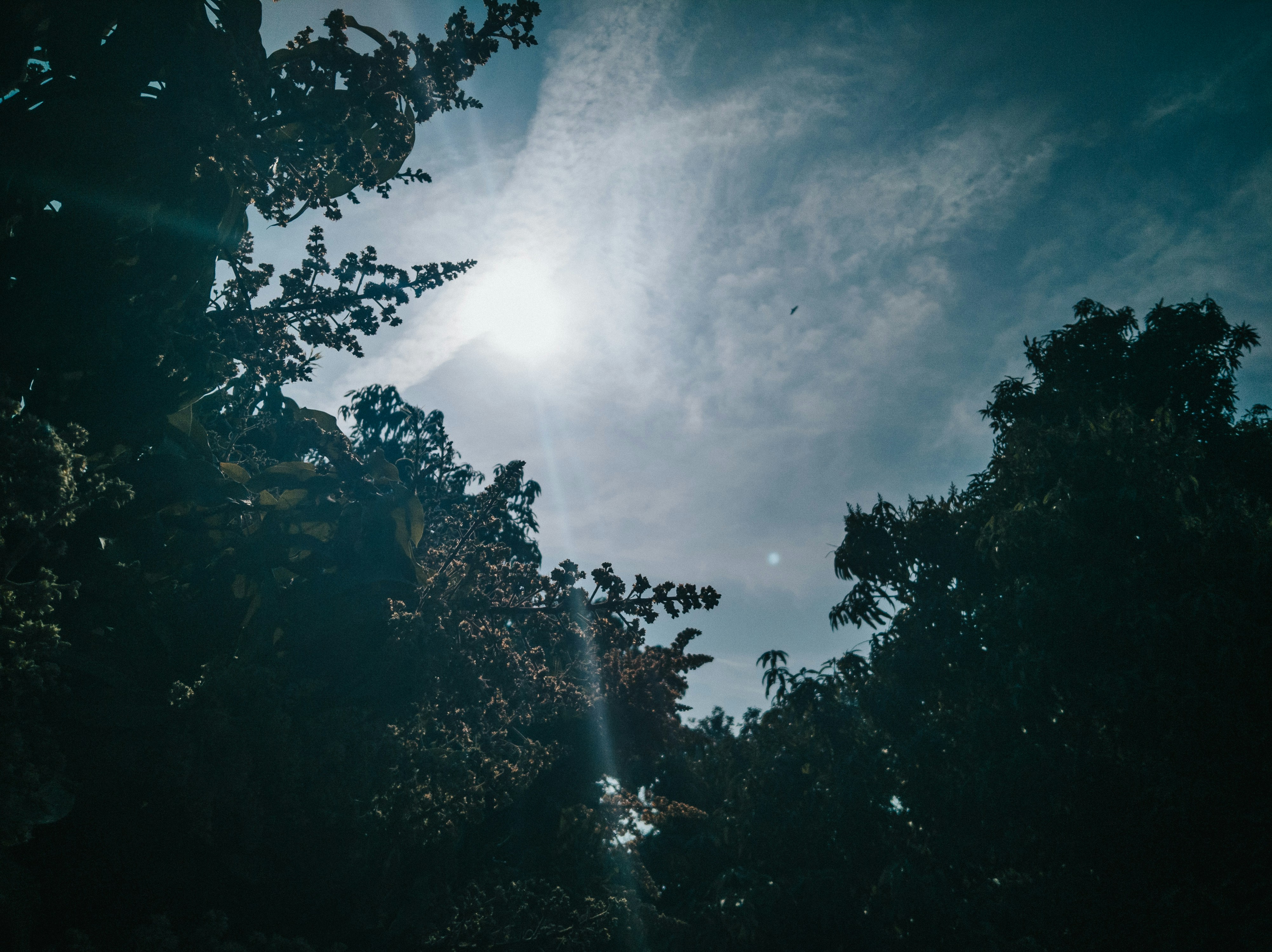 Photo by shessafridi