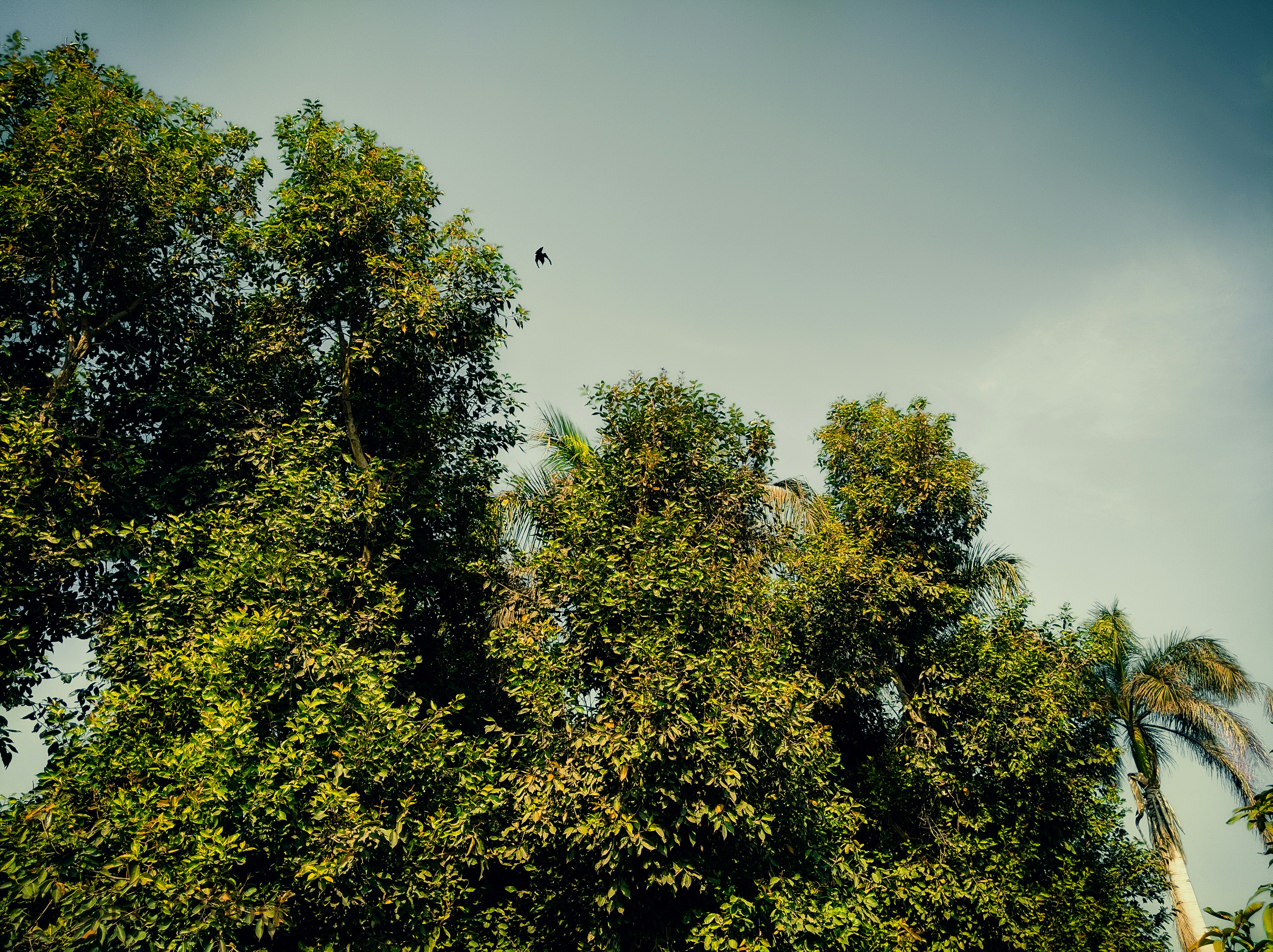 Photo by shessafridi