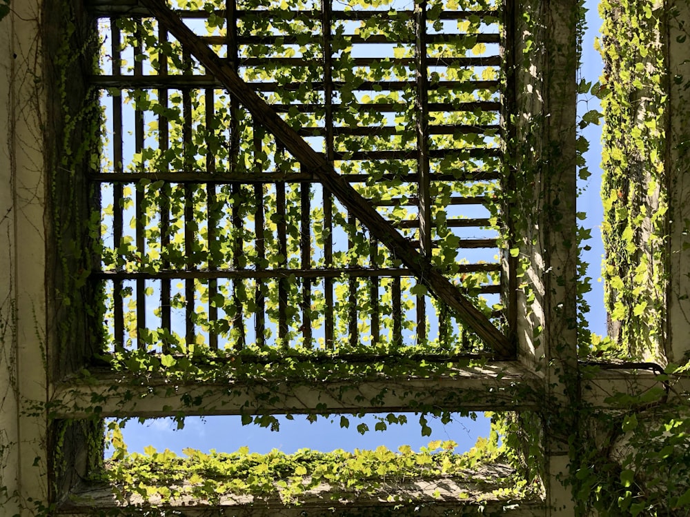 an old building with vines growing on it