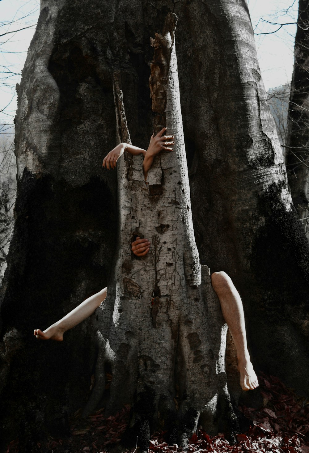 Frau im weißen Höschen klettert auf braunen Baum