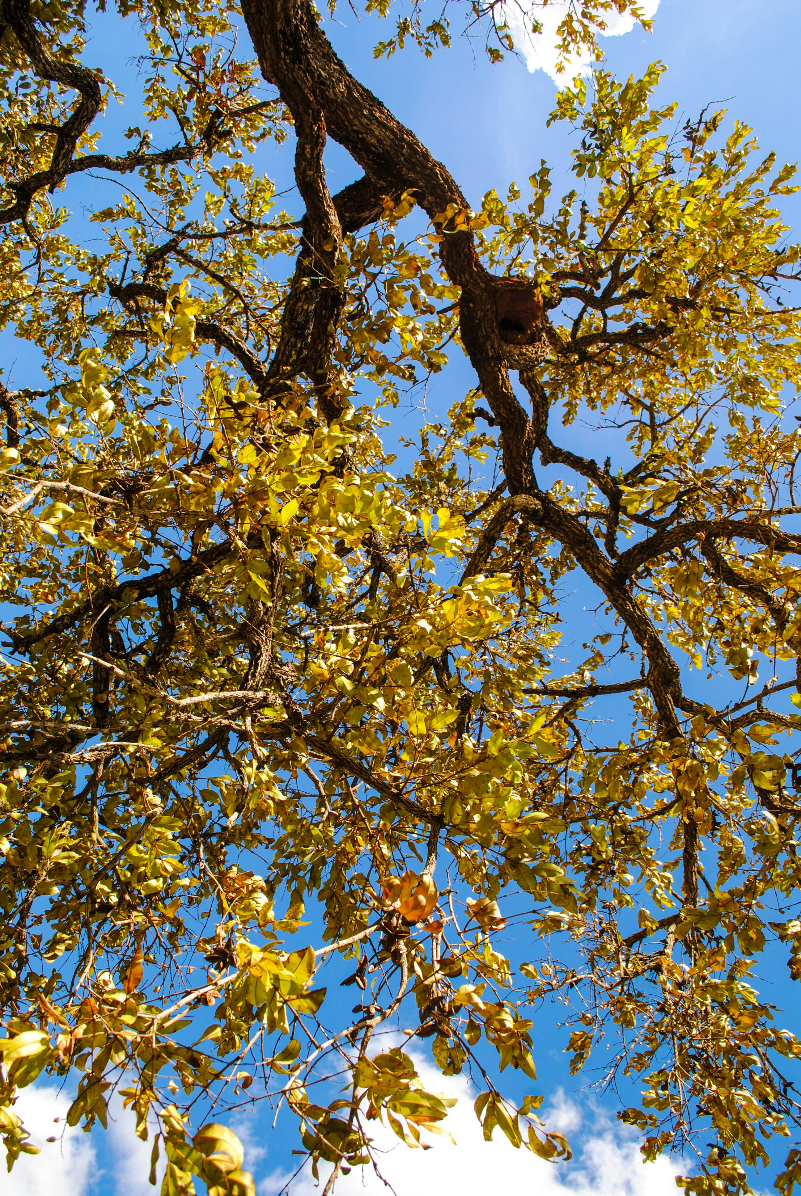 Photo by camismayumi