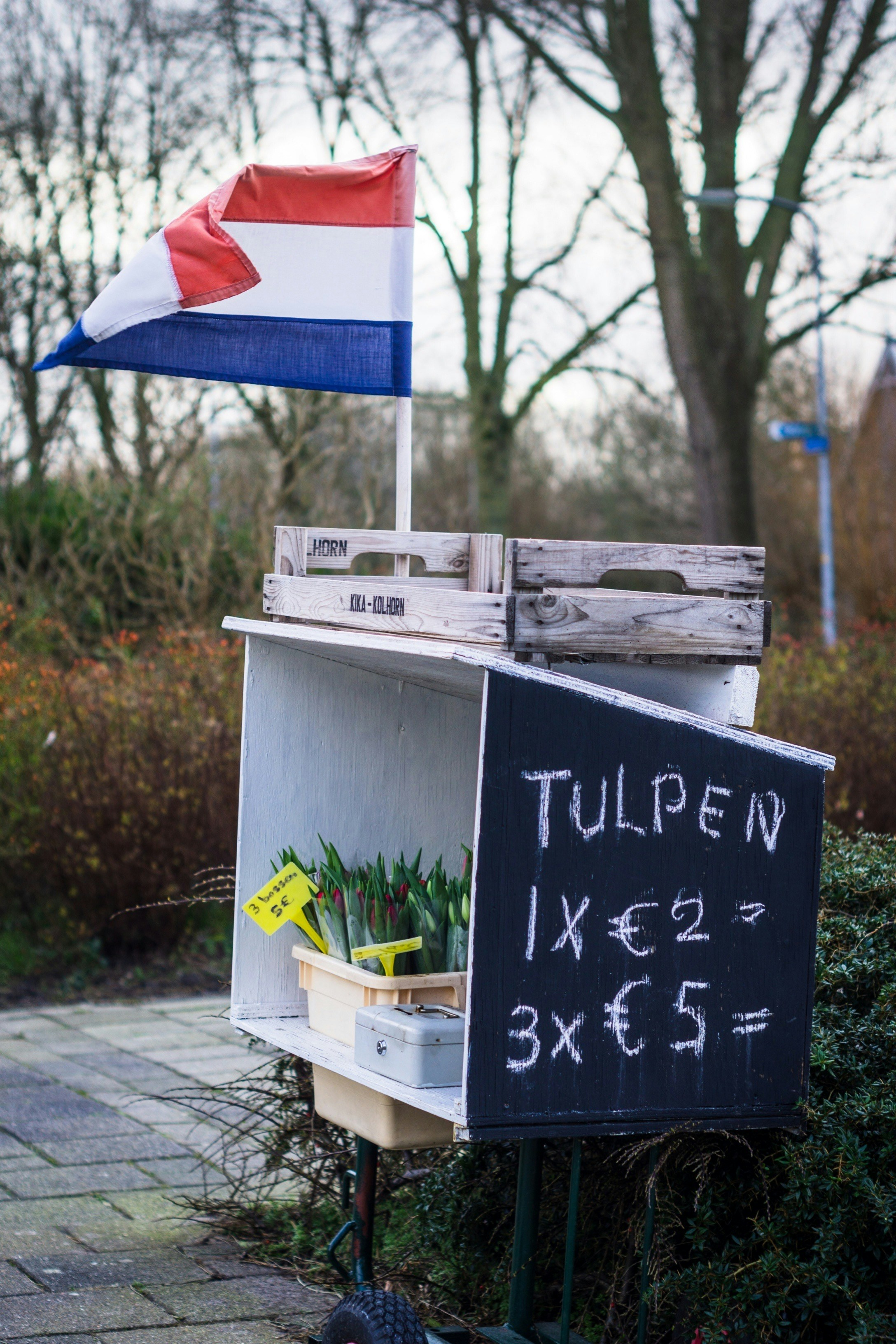 photo-1582064340299-3d4f6a38a9bf?ixid=M3wxMjA3fDB8MXxzZWFyY2h8Mnx8aW5zdHJ1a2NqZSUyMHQlQzUlODJ1bWFjemVuaWElMjBvZHByYXd5JTIwZWtzcG9ydG93ZWolMjBuaWRlcmxhbmR6a2l8ZW58MHx8fHwxNzQ3NDUyOTM3fDA\u0026ixlib=rb-4.1.0