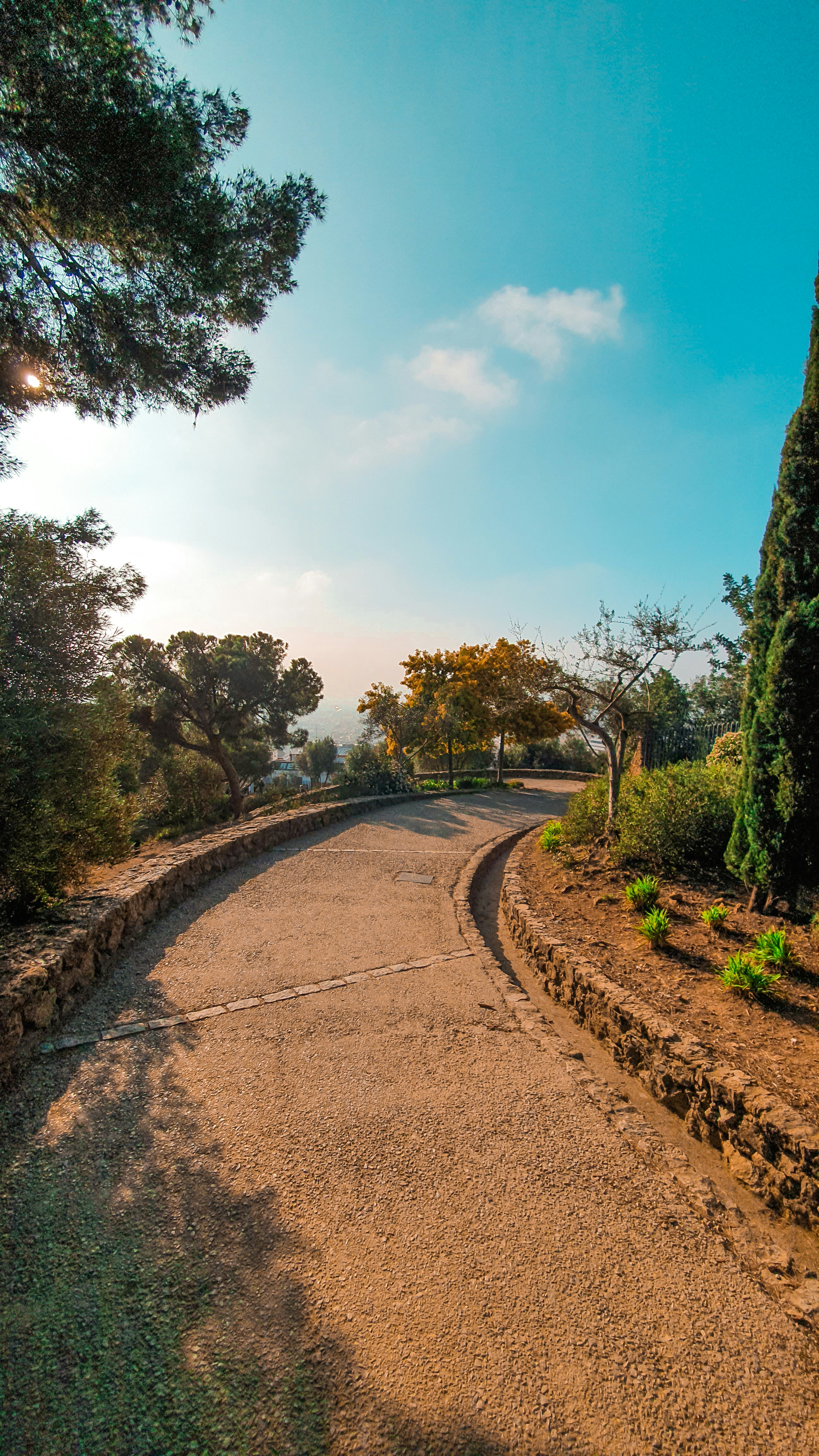 Photo by nik_nikolla_