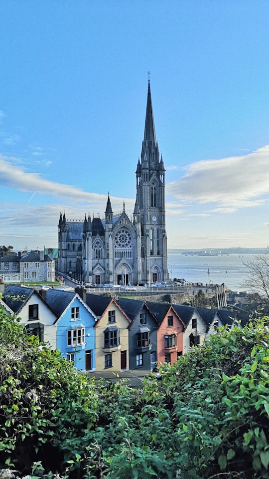 St. Colman's Cathedral, Cobh things to do in Ballycotton