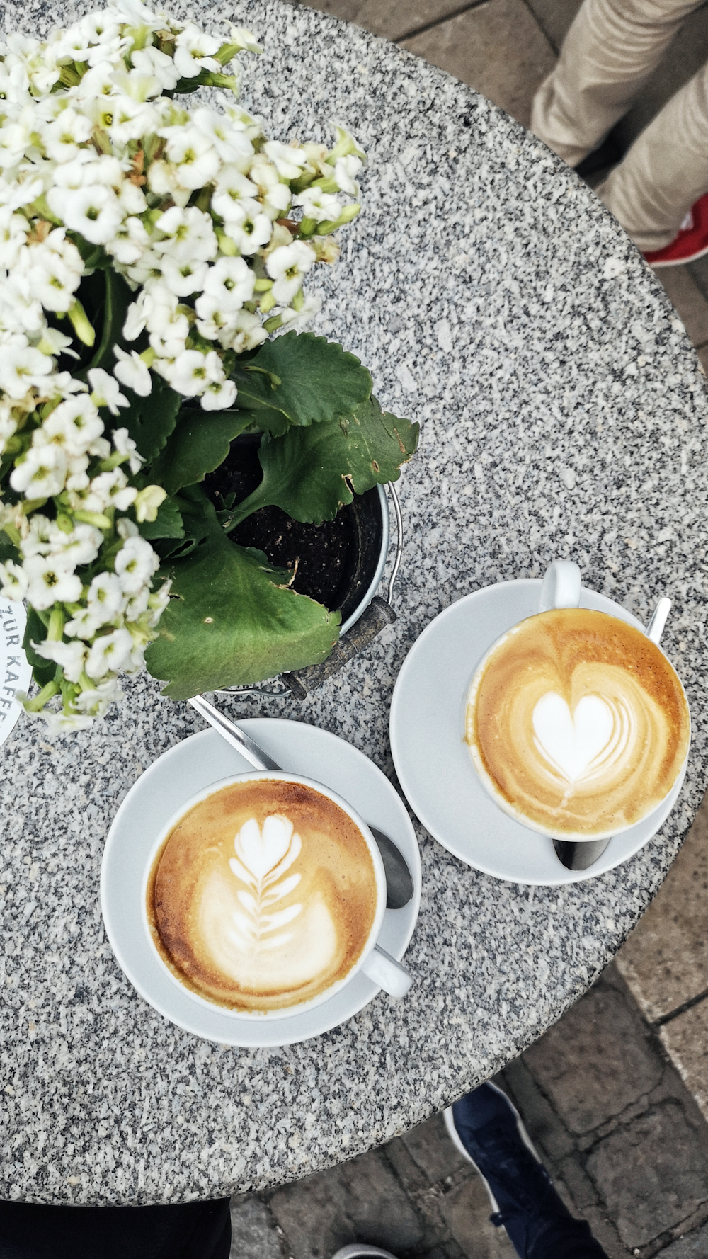 white ceramic cup with cappuccino