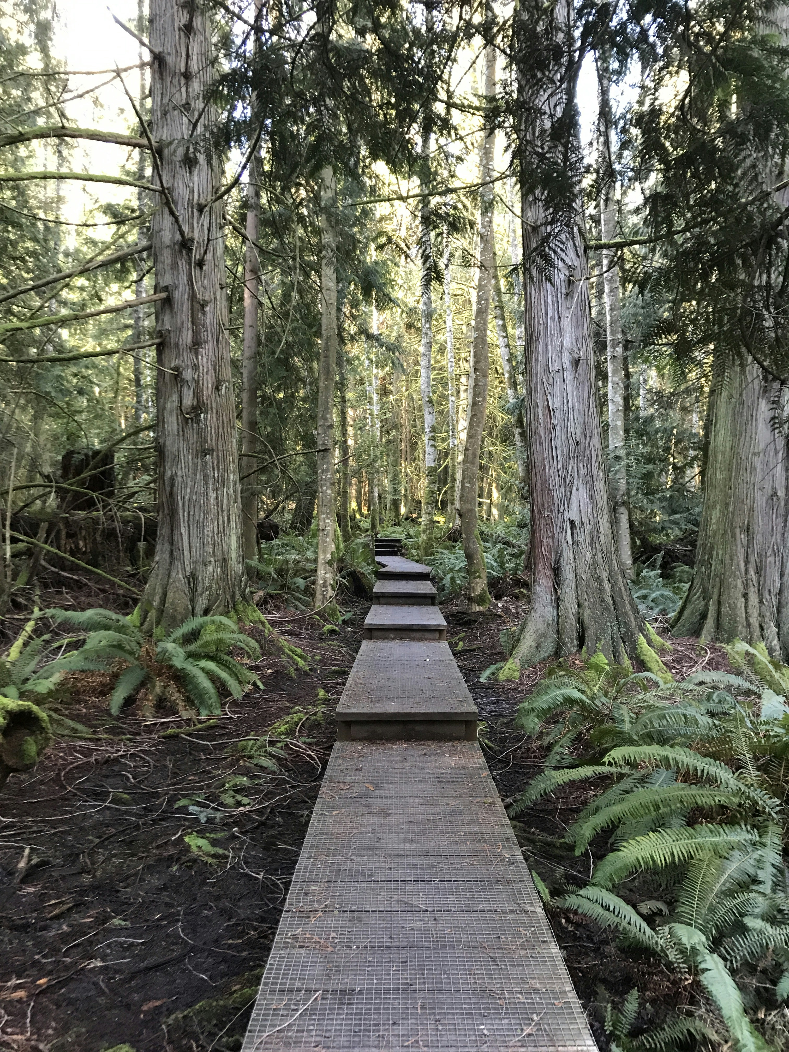 Photo by annettewitteman