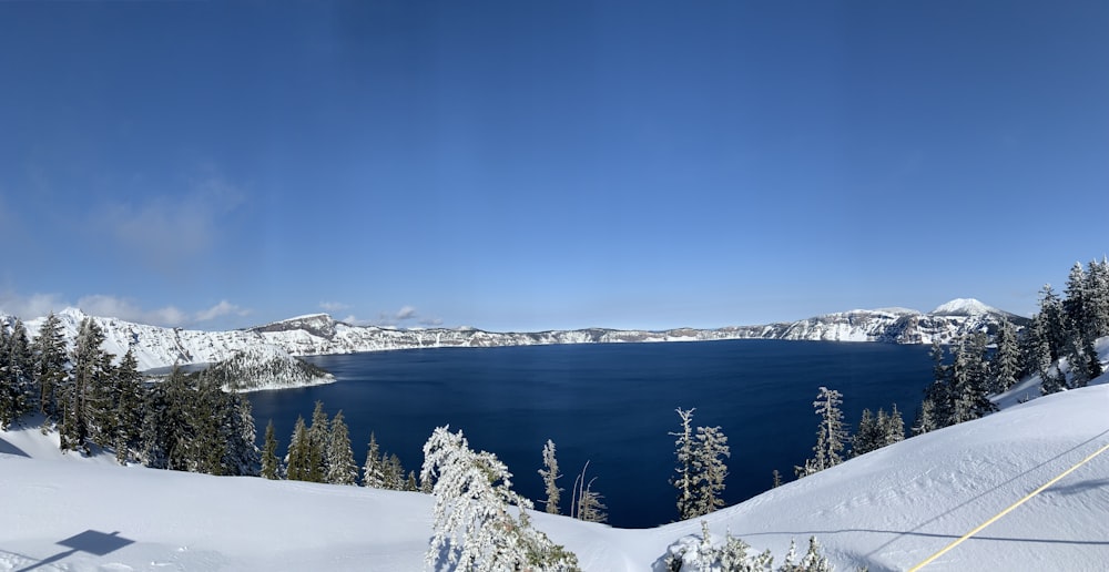 snow covered trees and mountains near body of water during daytime