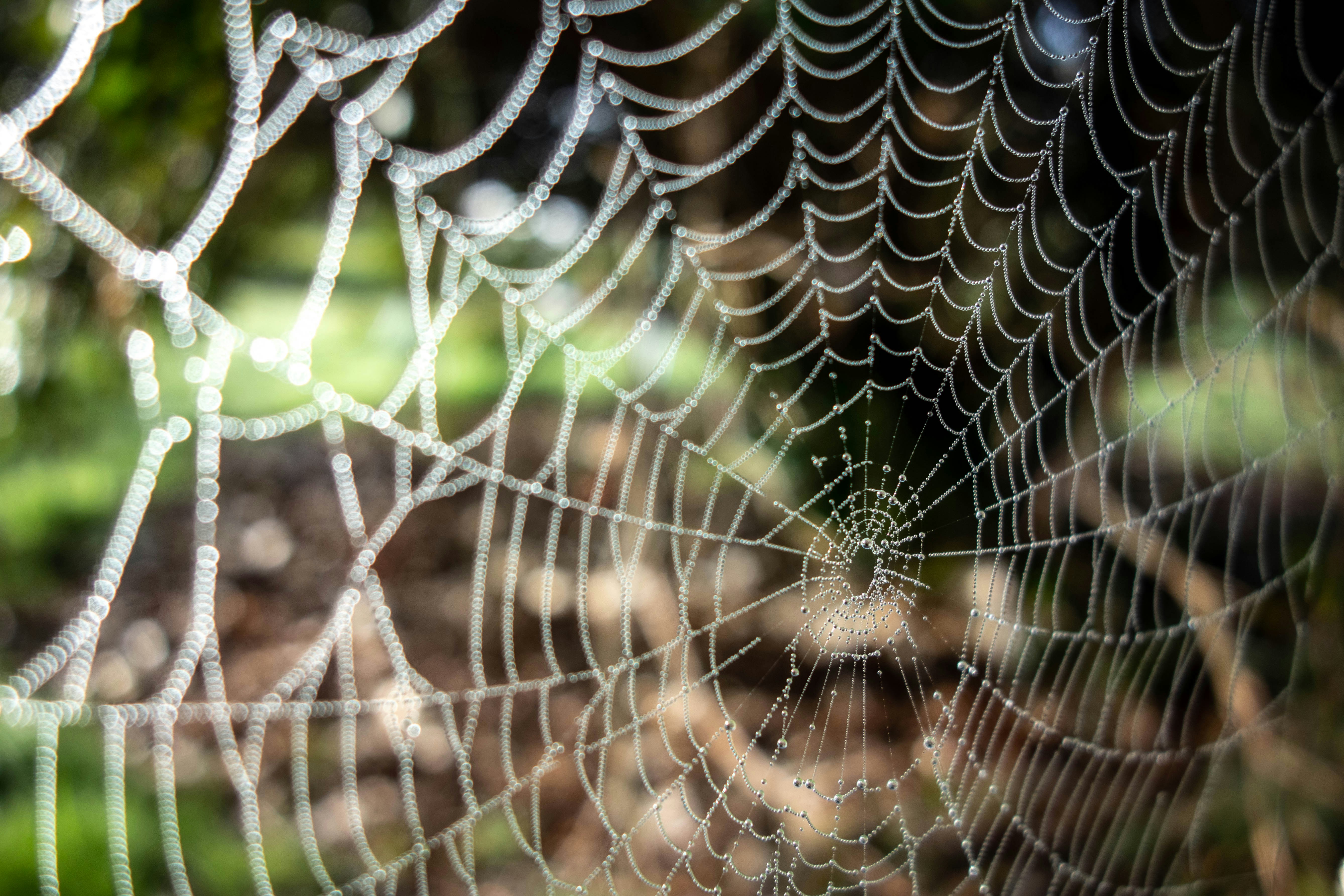 Photo by andrewlancaster