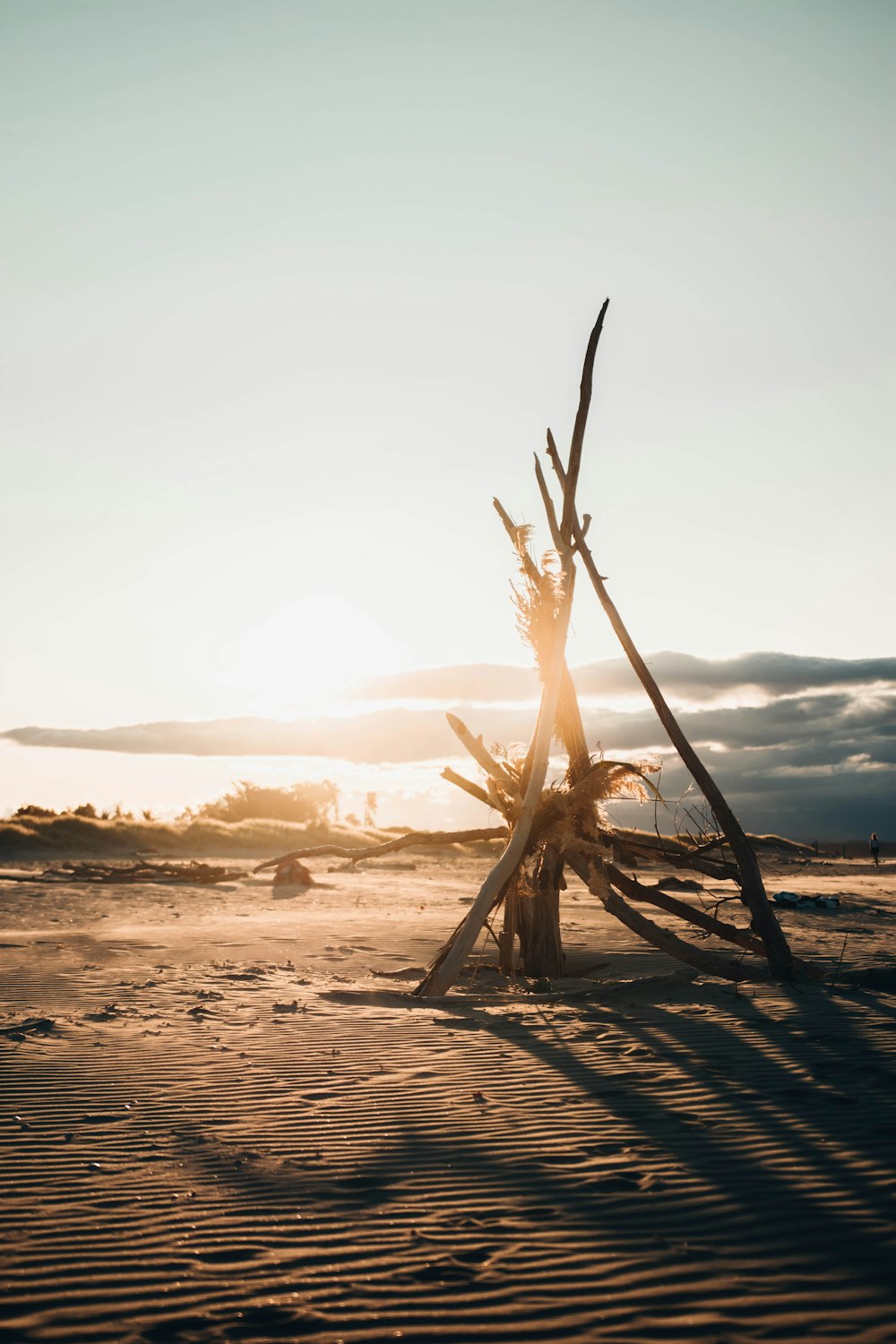 brown wooden stick on brown sand during sunset