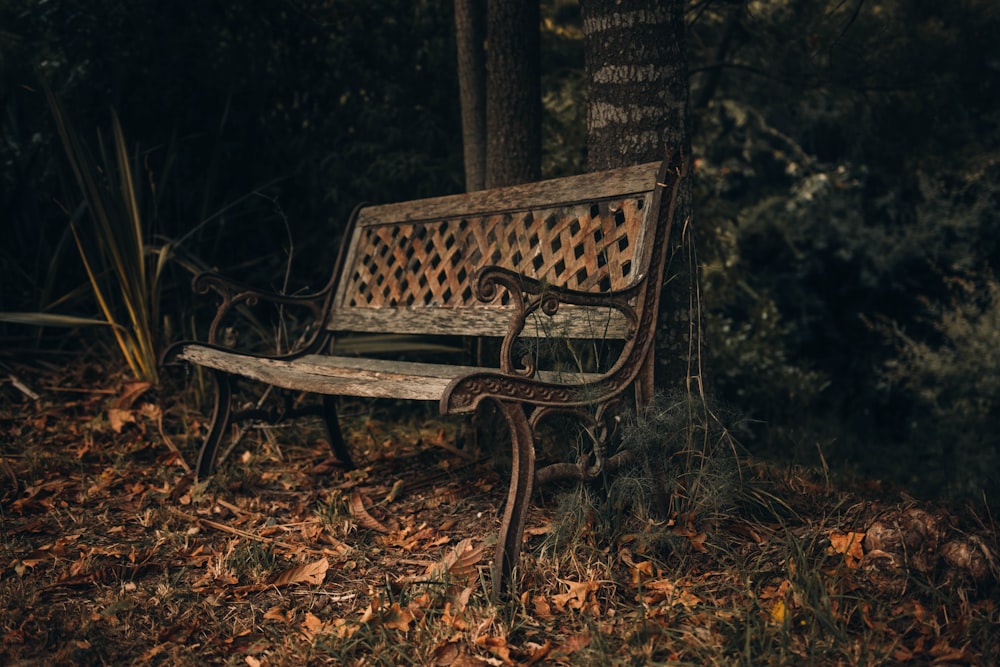 brown wooden bench surrounded by trees