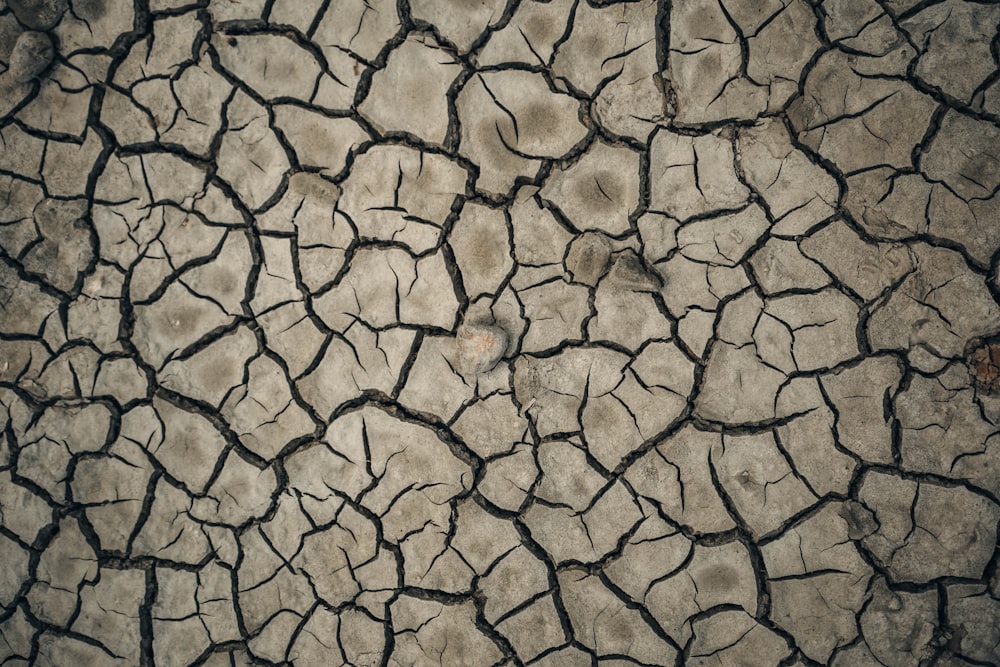 brown and black concrete pavement