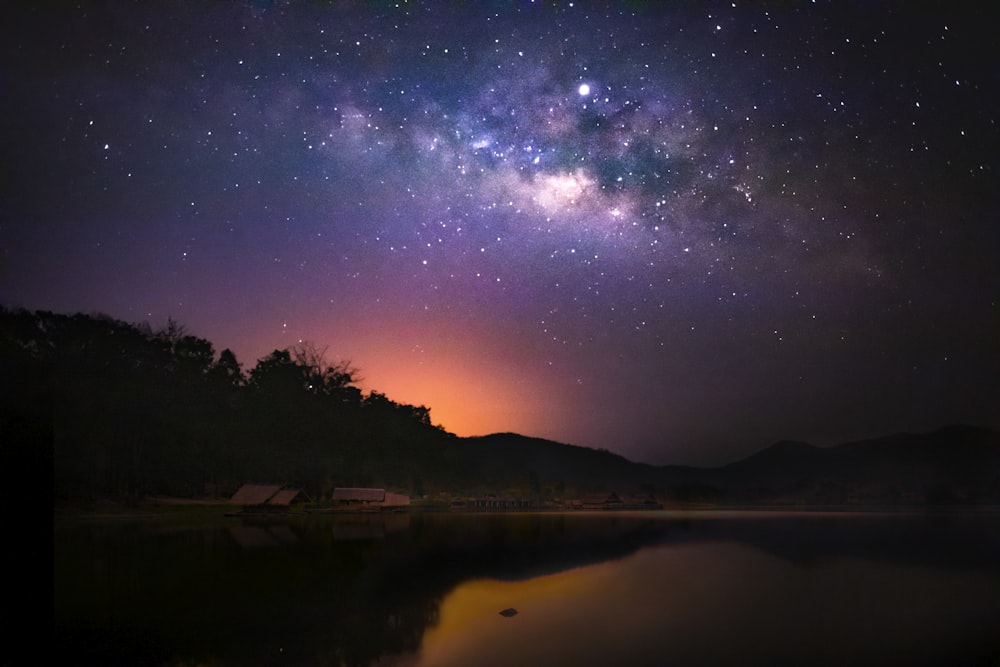 silhouette of trees near body of water during night time