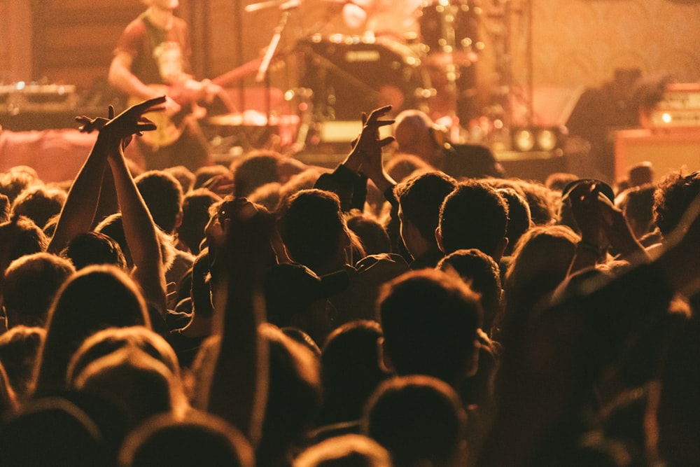 silhouette of people on concert