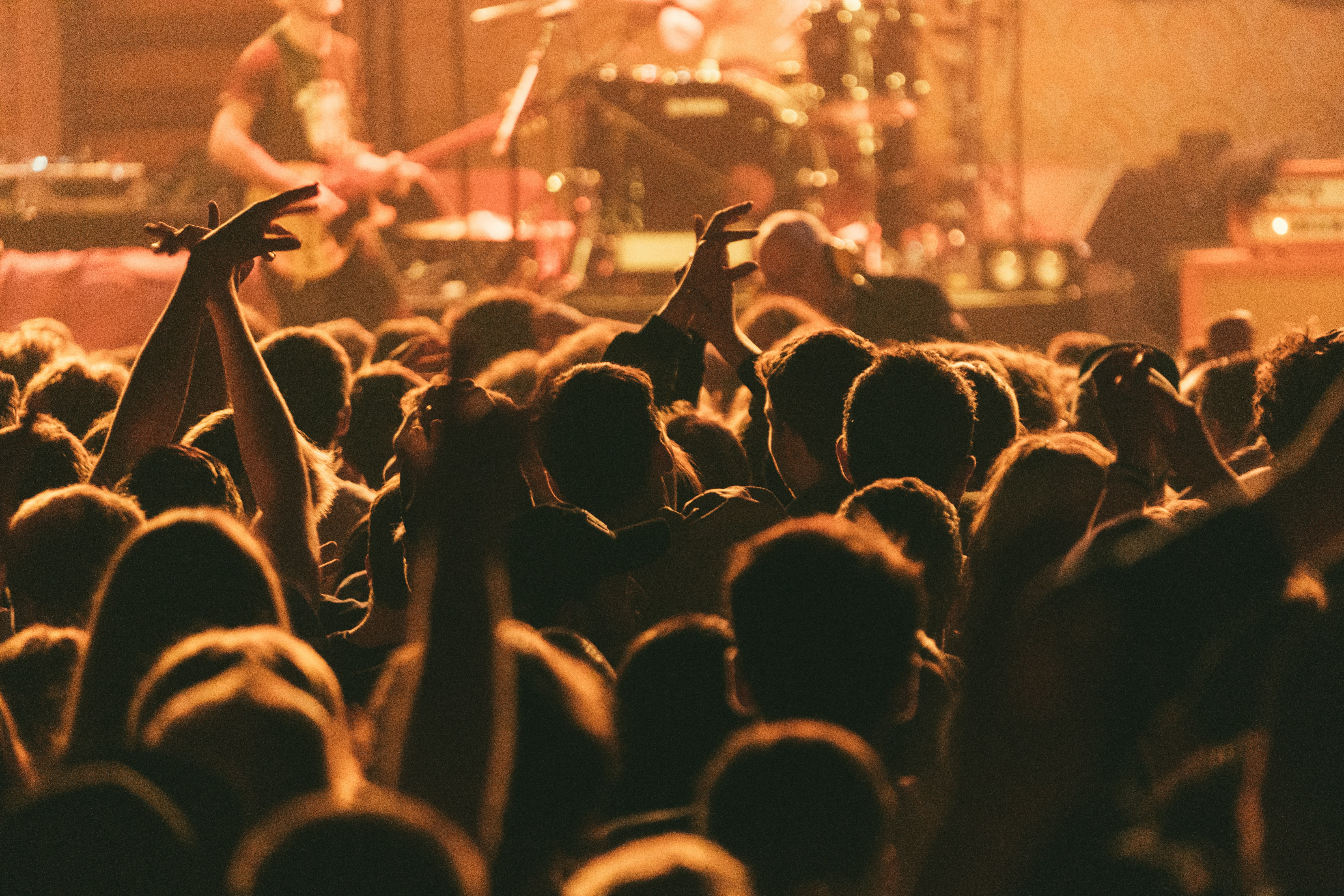 silhouette of people on concert