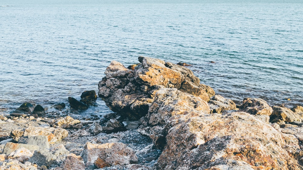 日中の灰色と茶色の岩だらけの海岸